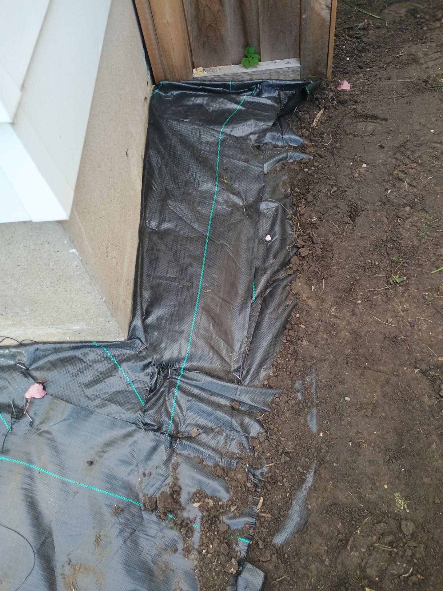French Drain Installation for Michael by Waterproofing Northeast