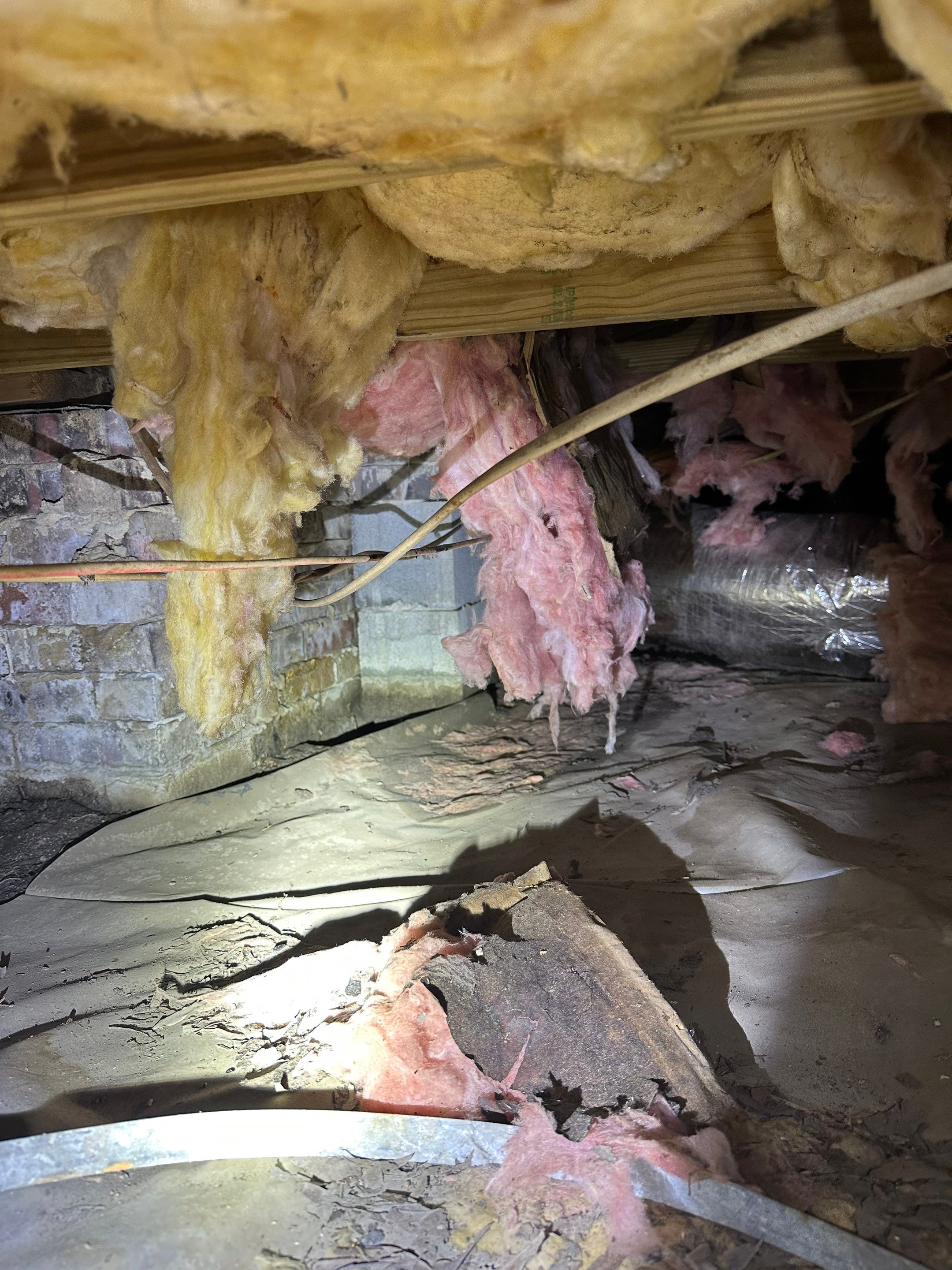 Impact Choice Encapsulation on a low crawlspace. by Impact Crawlspace