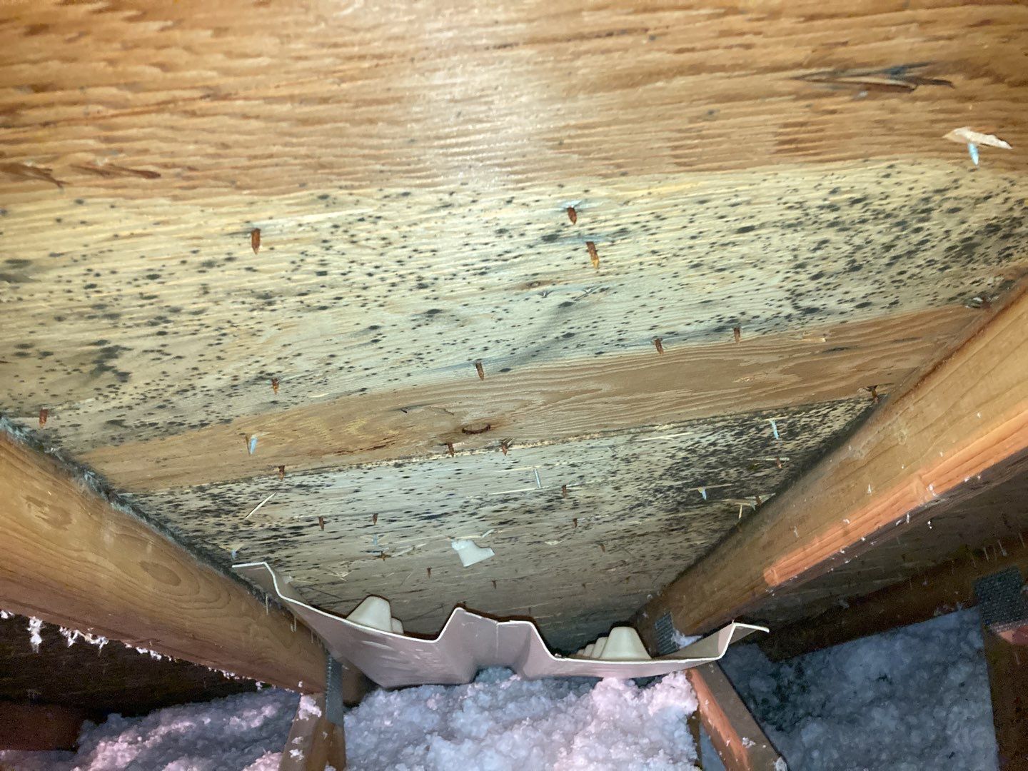 Mold Remediation in Attic by Accountable Home Services