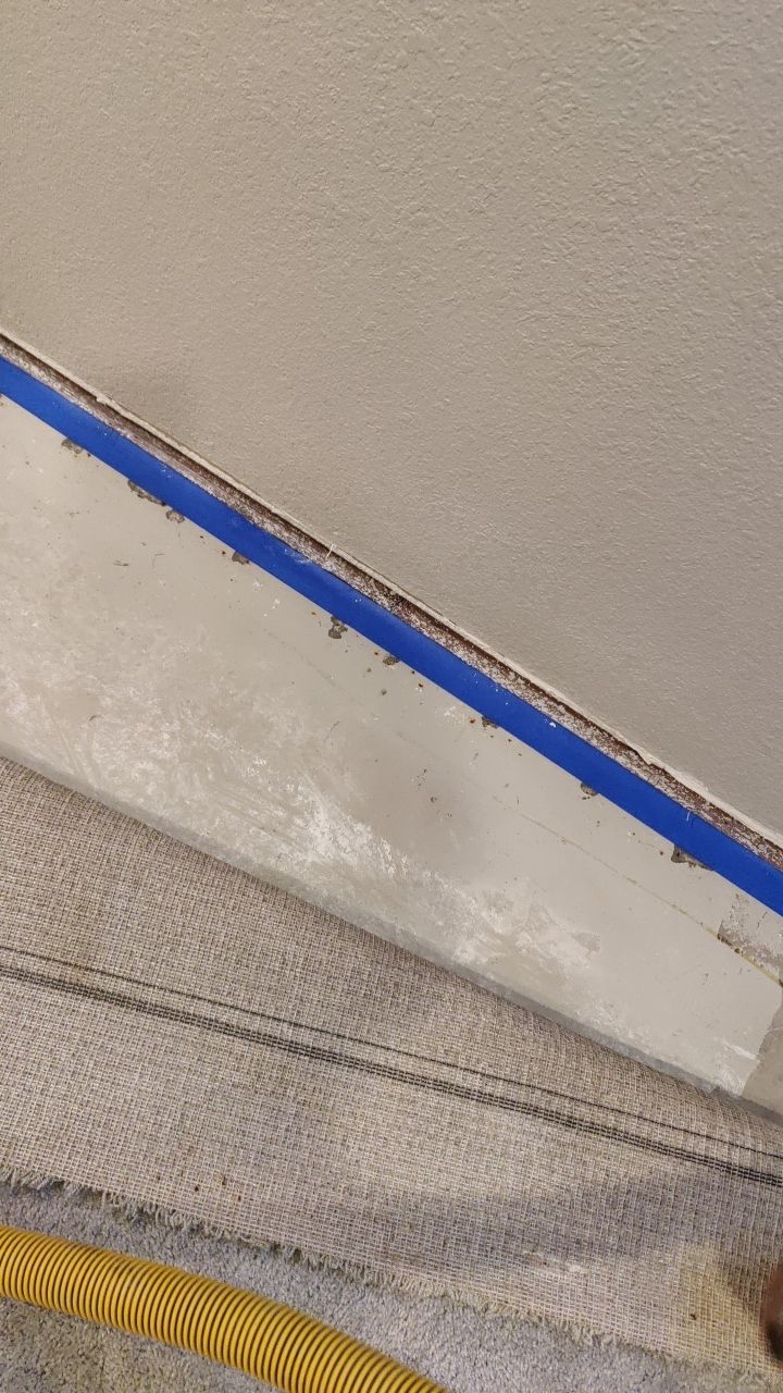 Mold Remediation  by Accountable Home Services