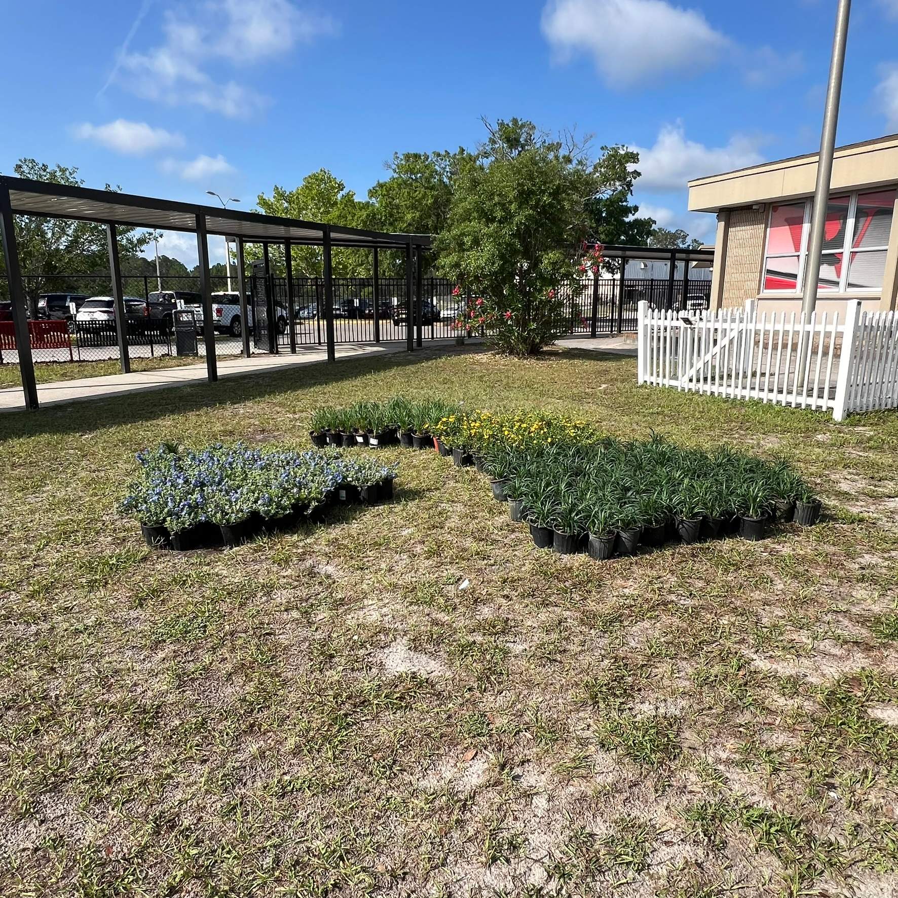 Landscape Install | Wilkinson JHS by ProGreen Services