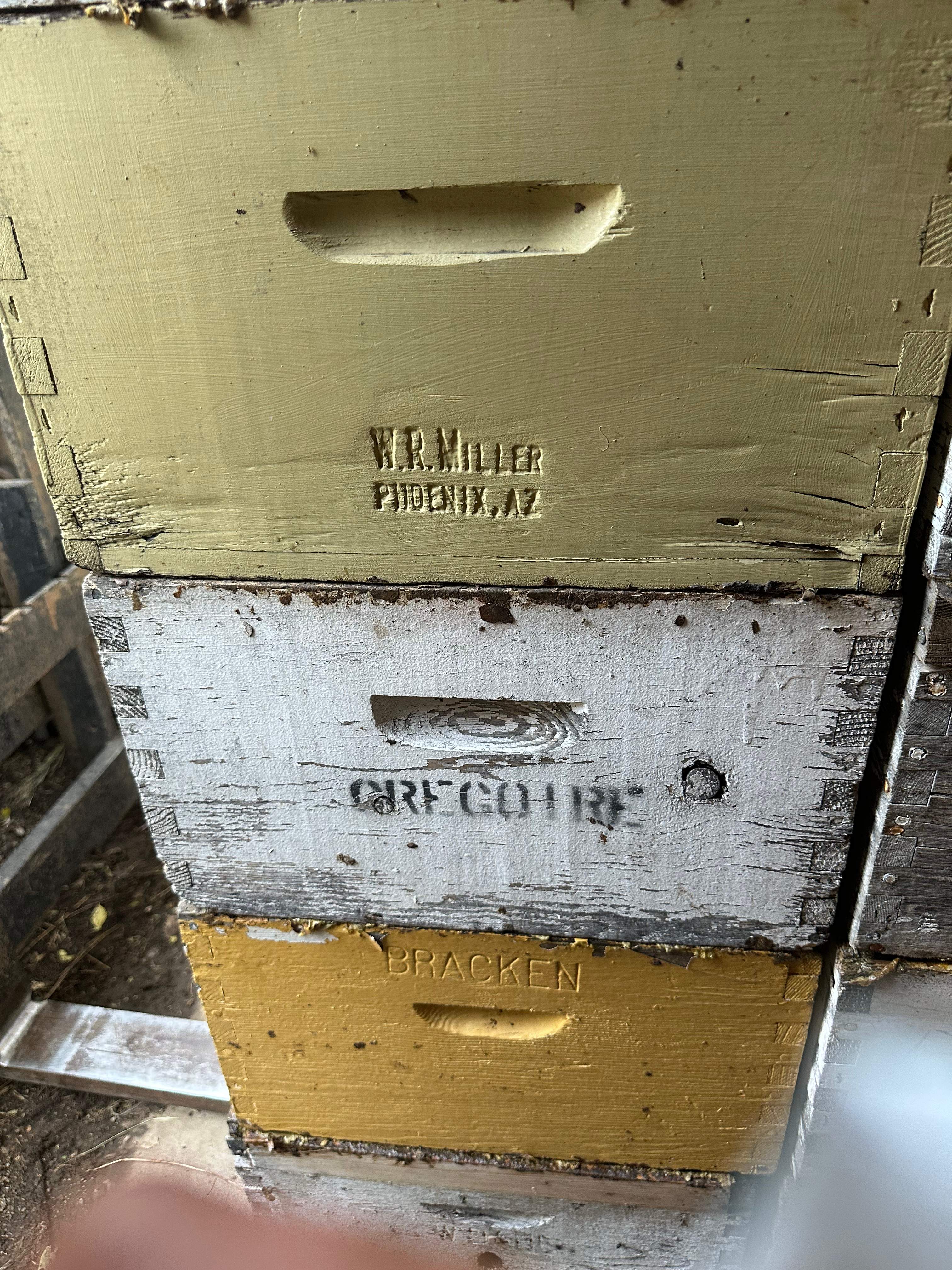 BeeGirl's Honey House in the Midwest by Rockwall Honey Bee Company