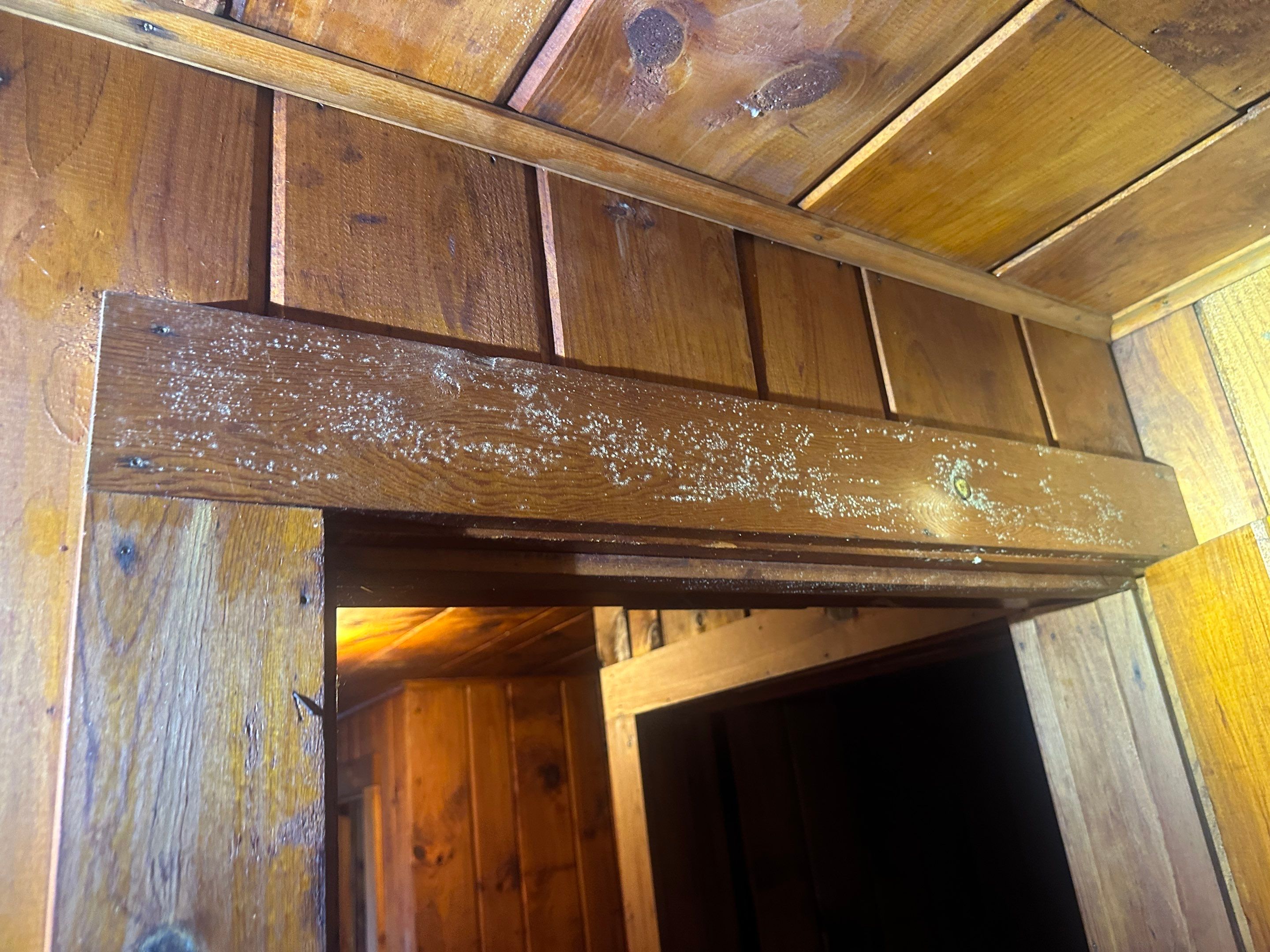 Entire Home Remediation by Home Guarantee, LLC