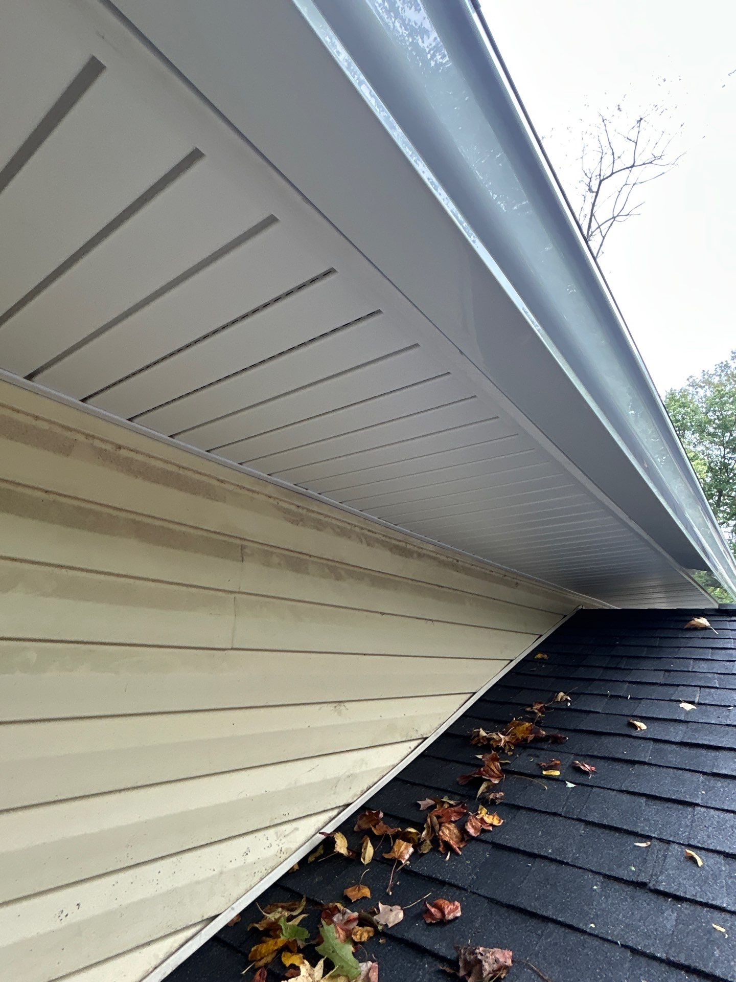 Burke : Residential Roof Replacement with CertainTeed Landmark Pro in Max Def Charcoal Black  by RM Banning, Inc.