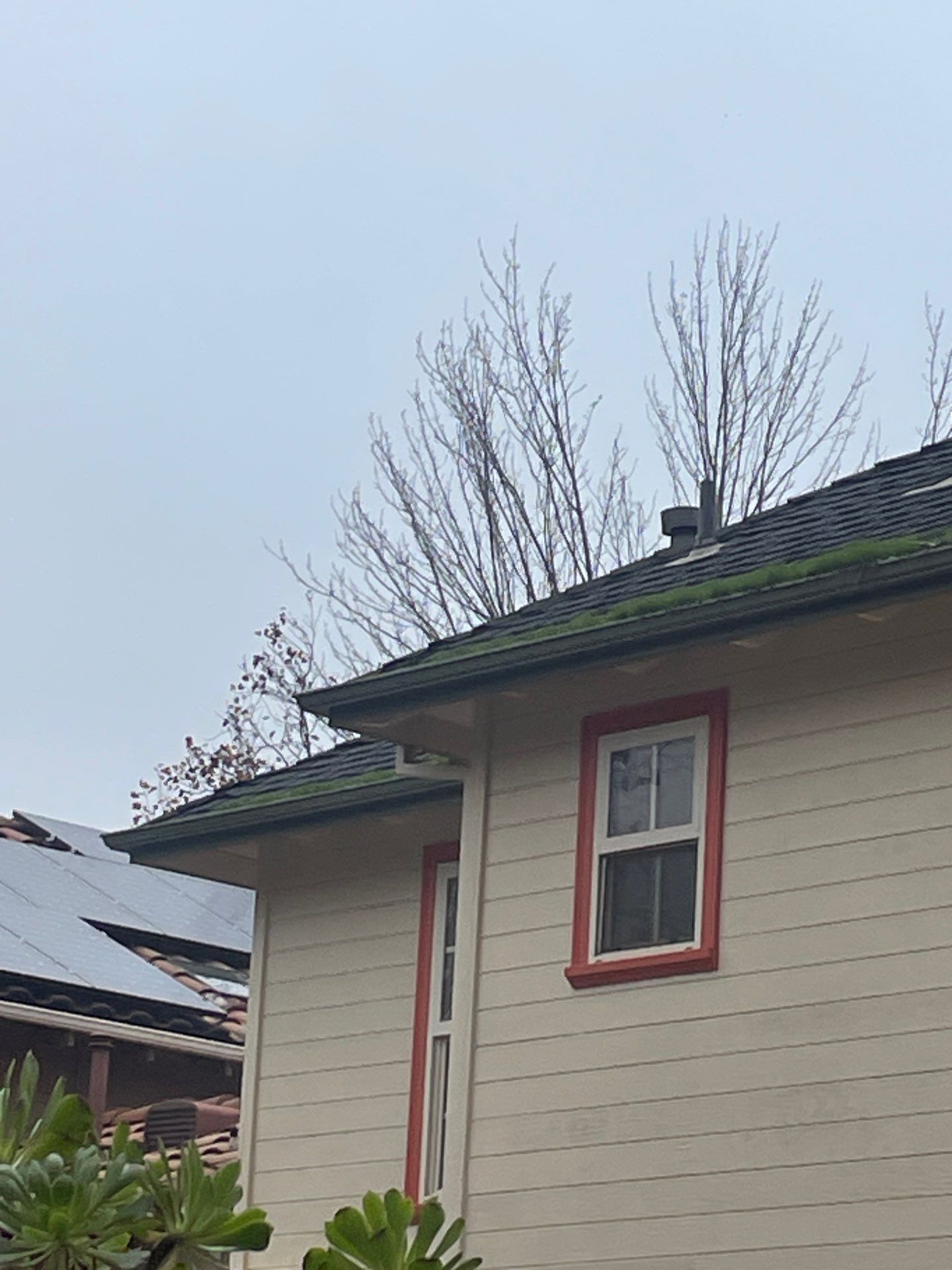 Roof Rejuvenation using Roof Maxx Treatment by Roof Maxx of Folsom