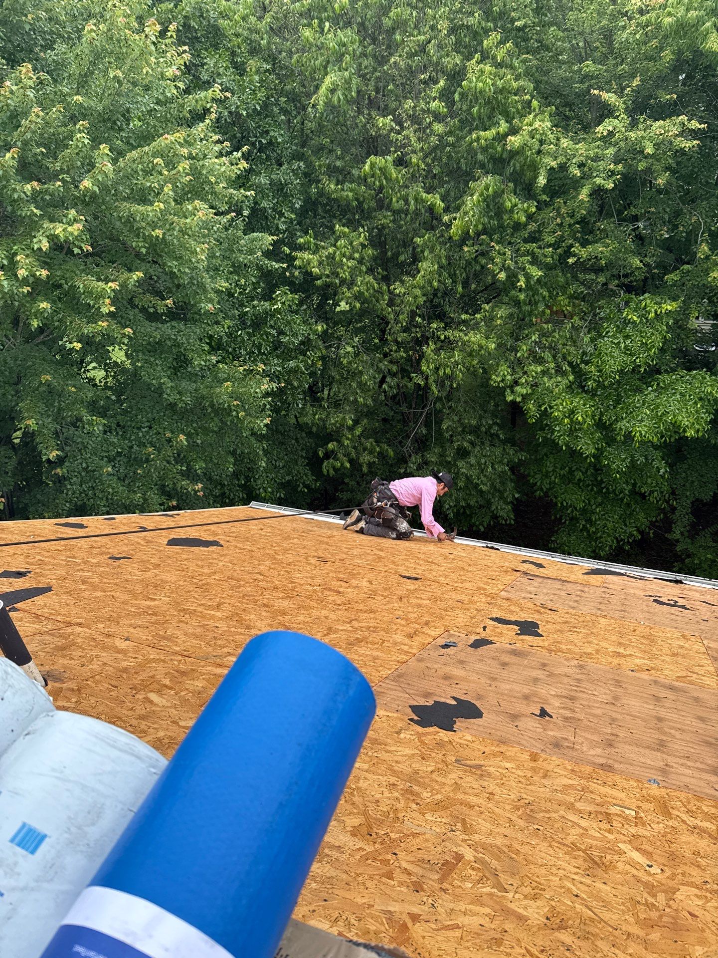 Reston Roof Replacement with CertainTeed Landmark PRO in Max Def Moire Black by RM Banning, Inc.