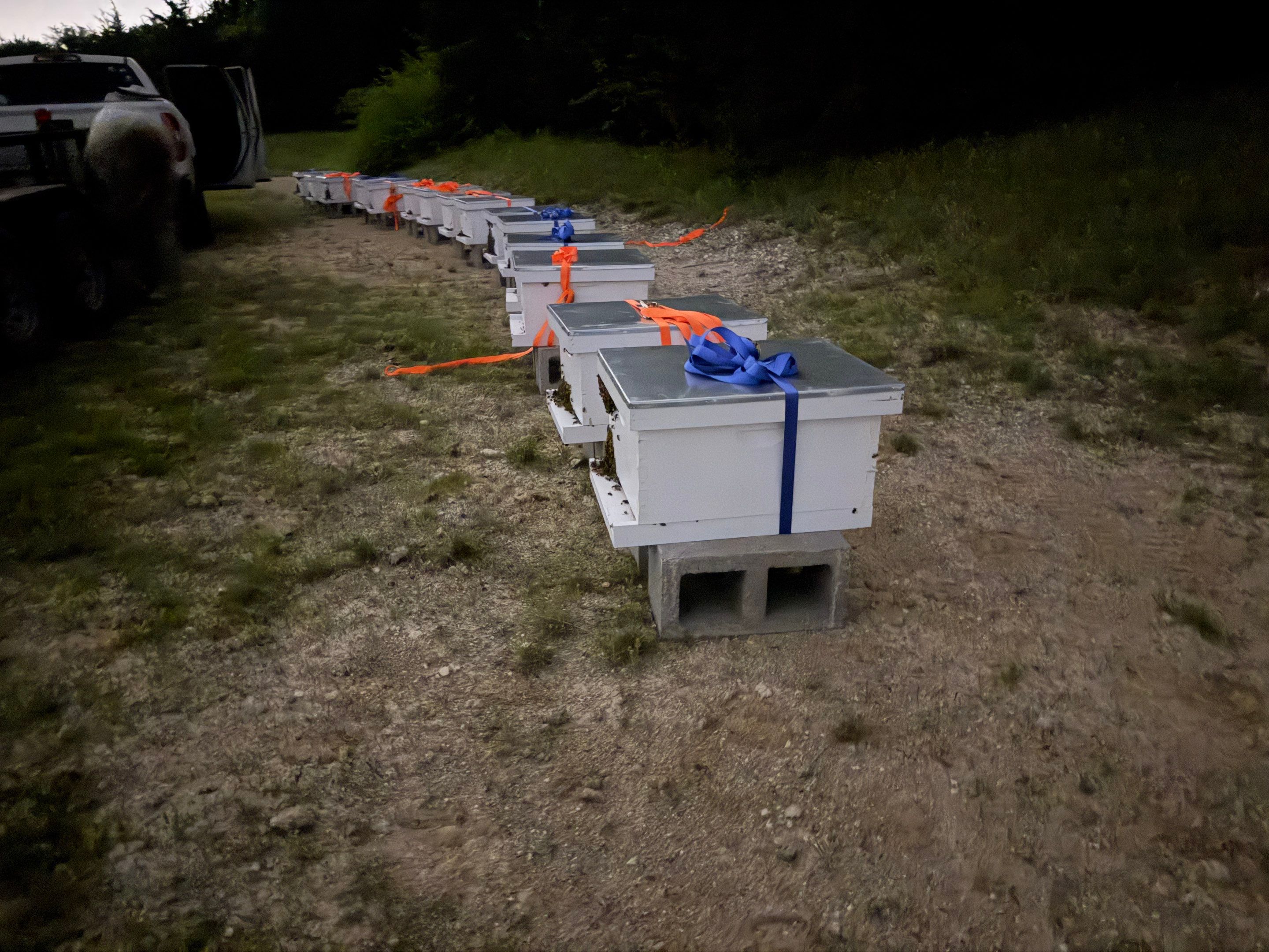 45 colonies in three apiaries by Rockwall Honey Bee Company