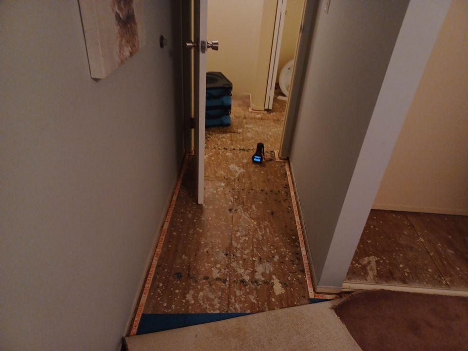 Project in Fraser by EzDry Water Mitigation & Property Restoration