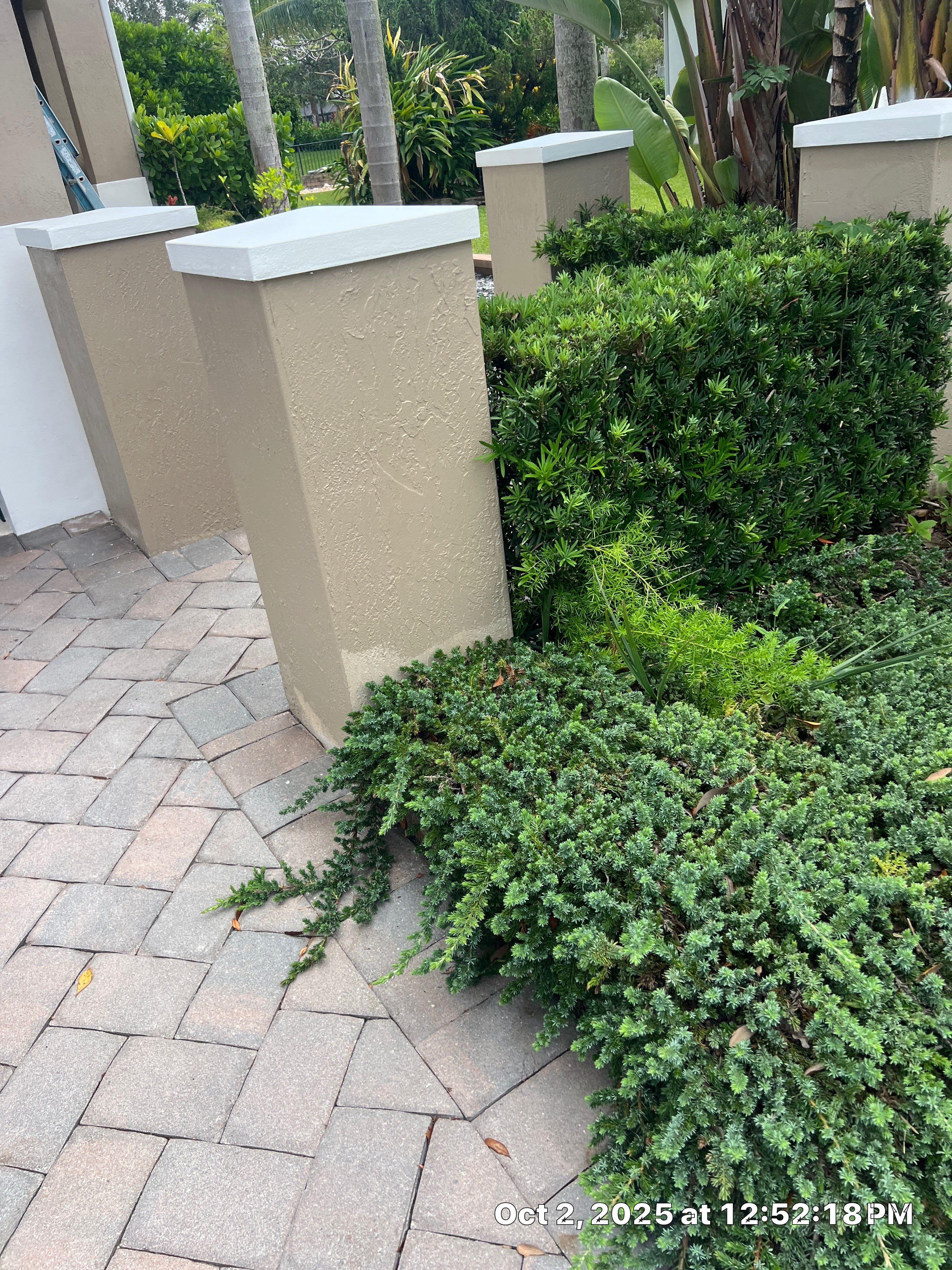 Heron Bay Parkland Painting by BKB Pressure Cleaning LLC