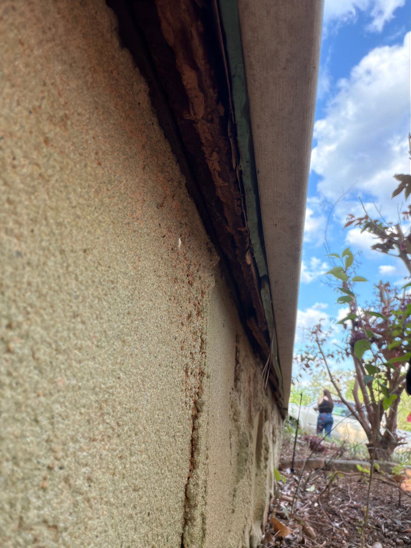 Comprehensive Exterior Siding and Window Replacement in Martinez, Georgia by WindowMax
