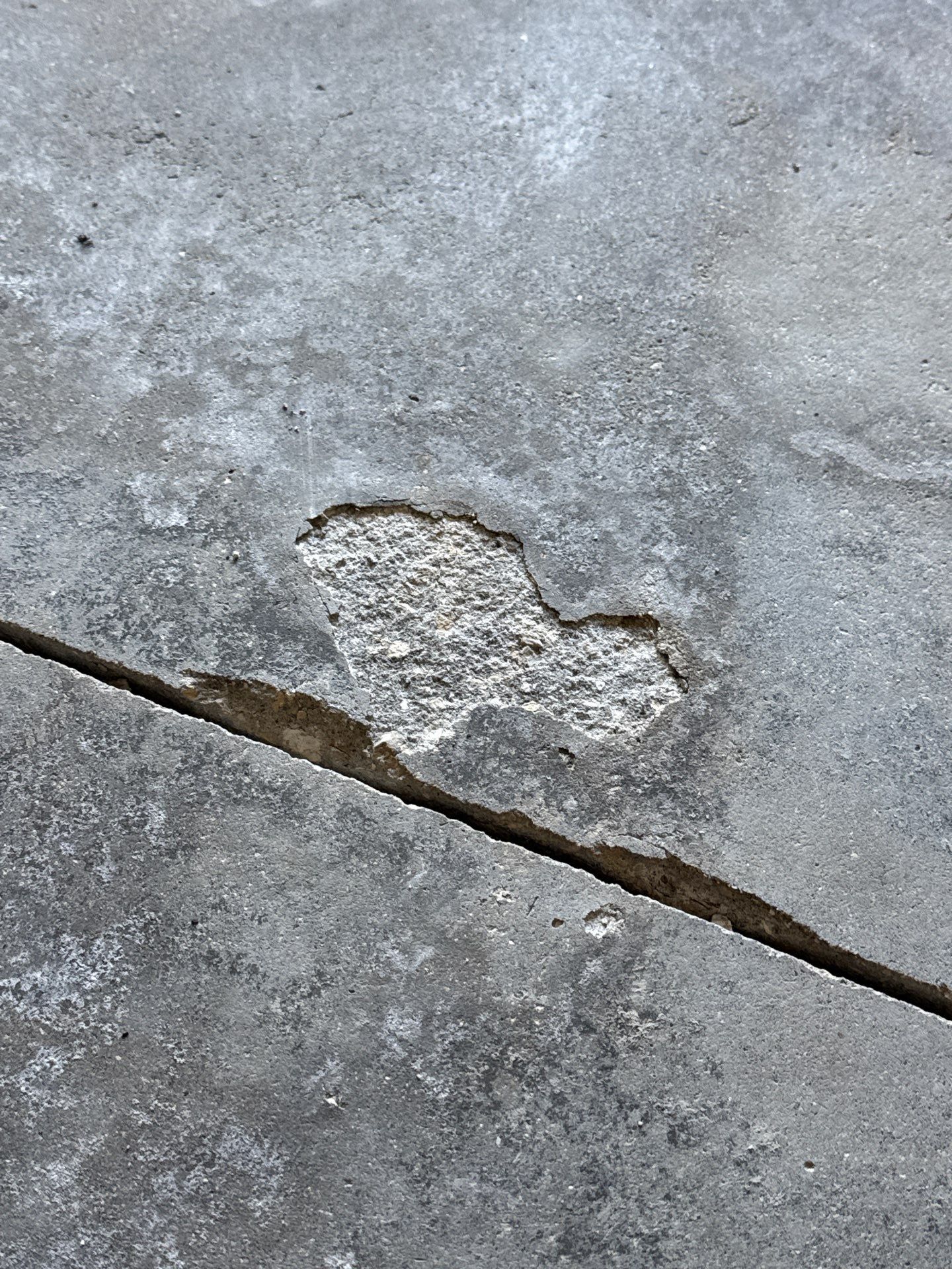 Longboat Key Garage Transformation! by Performance Floors & Coating