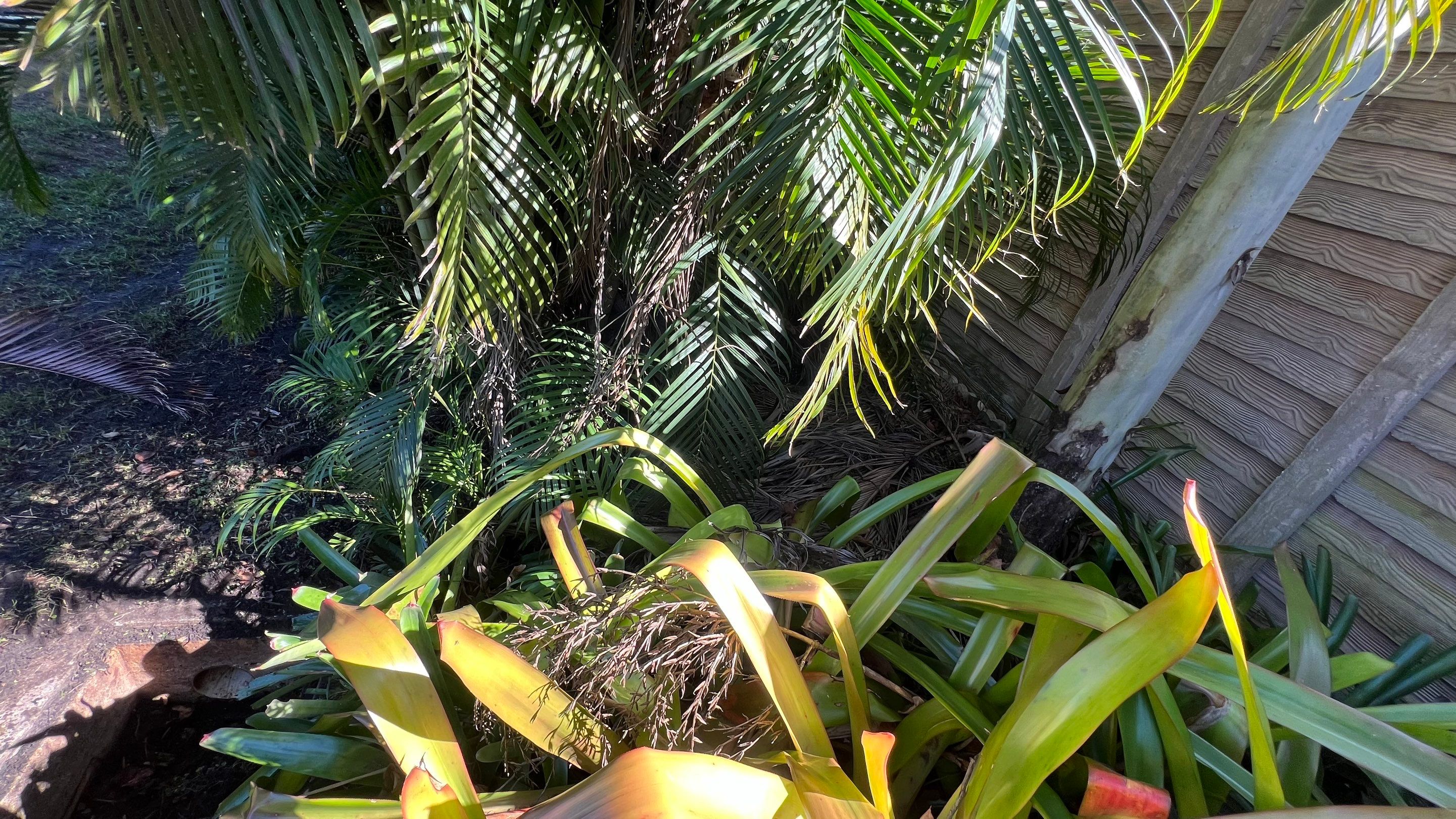Naples Community Stormwater System Maintenance by Don Mar, Inc. Storm Water Solutions