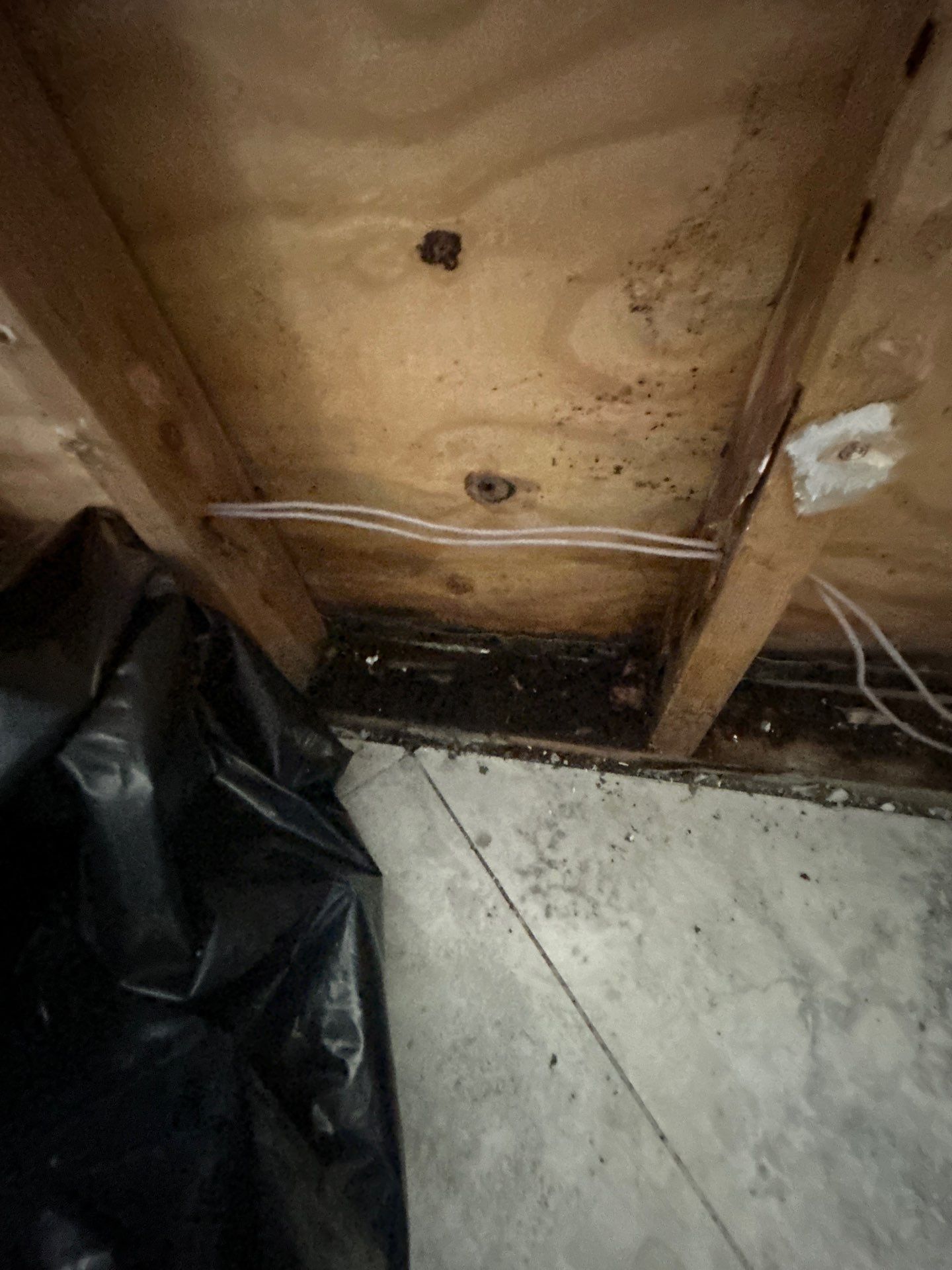 Storm Water Damage Sarasota by Ampm Restoration Services