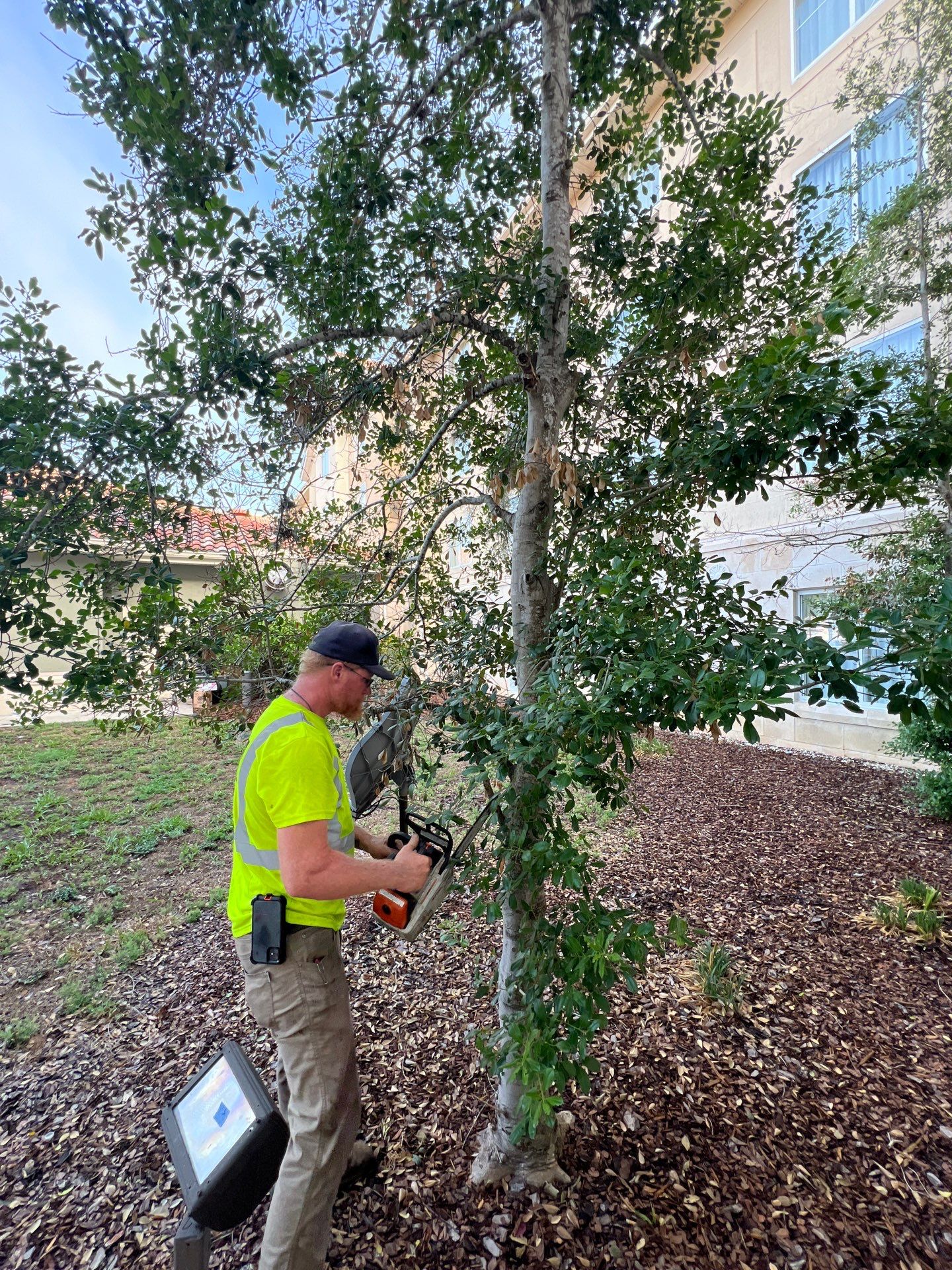 Homewood Suites | Tree Service by ProGreen Services