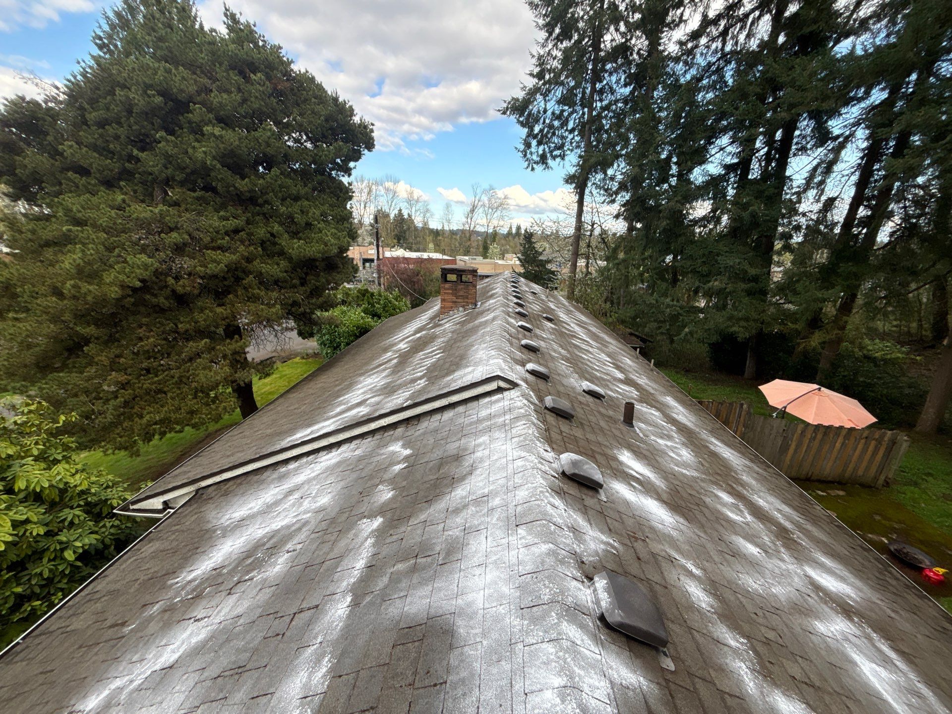 Roof Maintenance in West Linn by Prodigy Roof Solutions