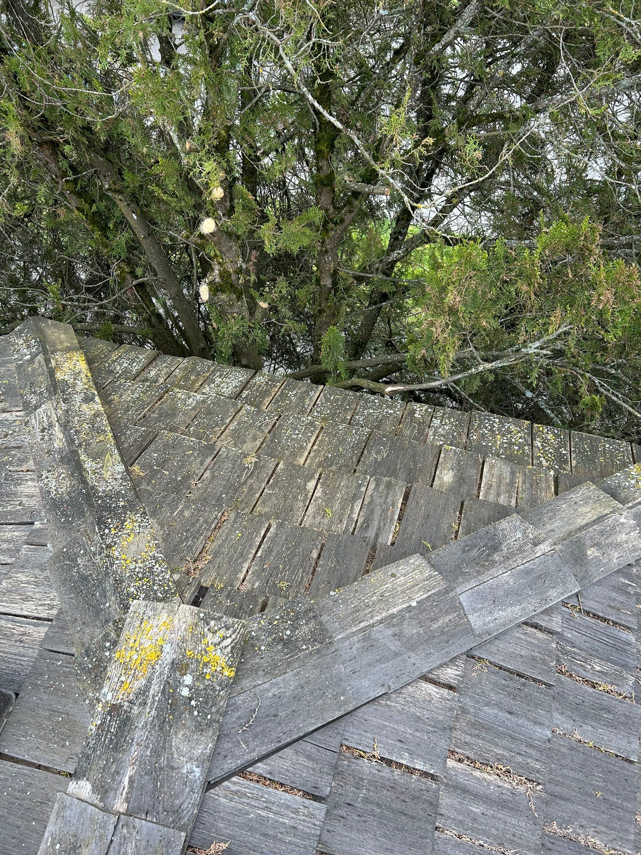 Project in Seattle by Peaks and Valleys Construction