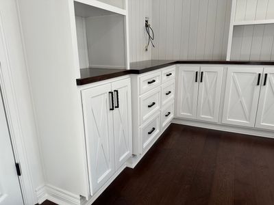 Kitchen Remodel using Cabinets