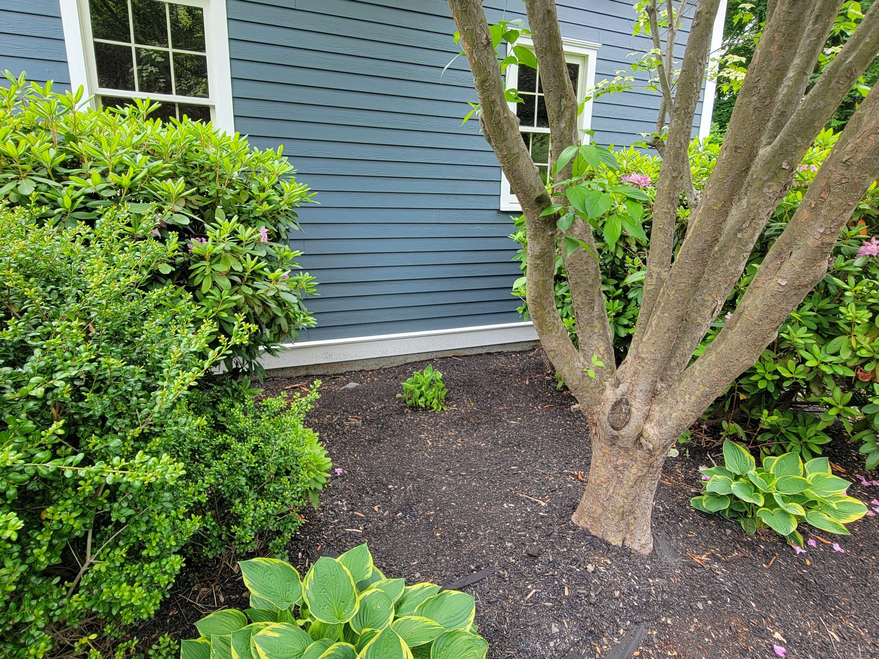 Siding Installation using James Hardie by UBrothers Construction