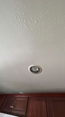 Project in Arvada