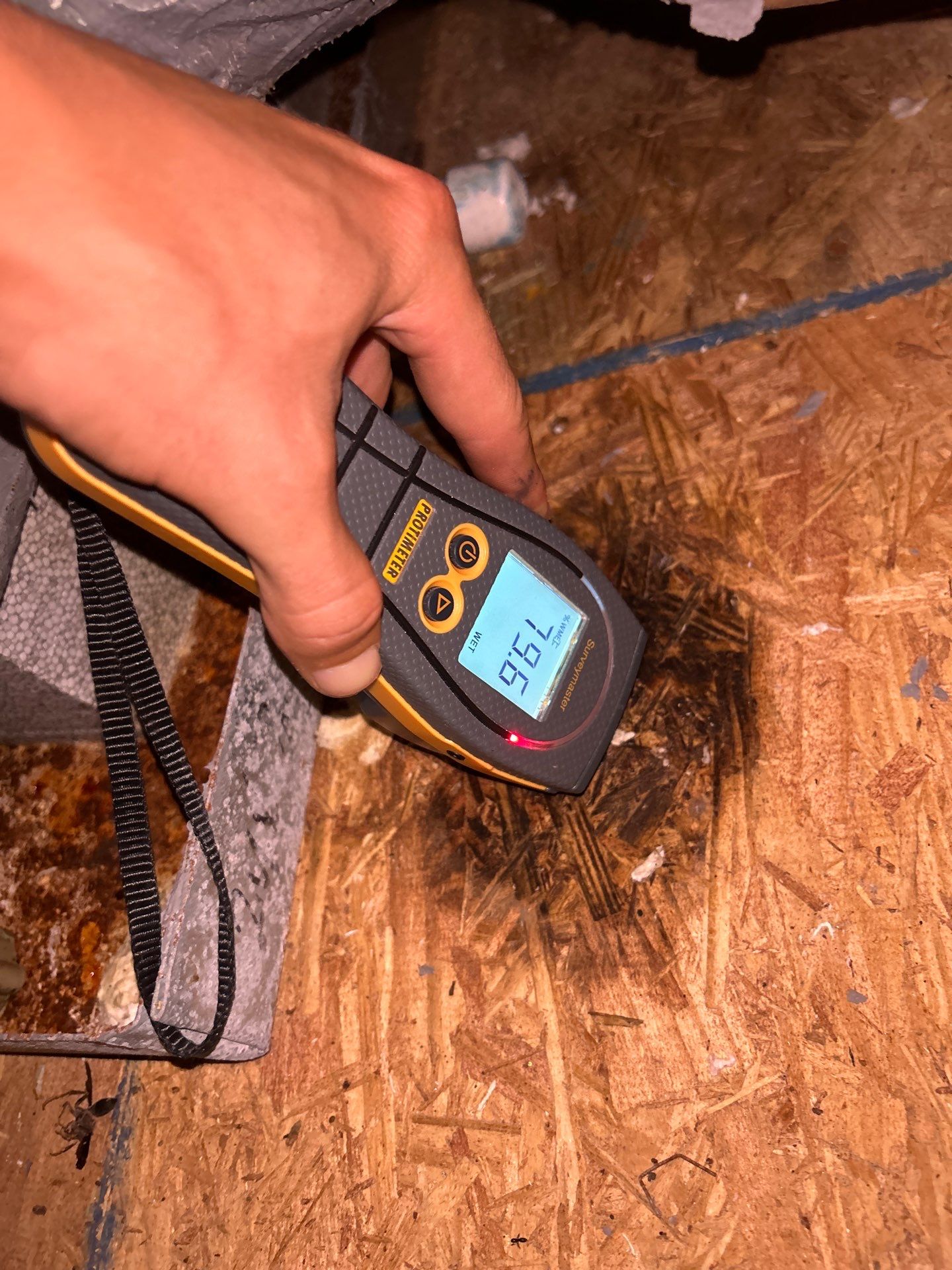 Major Mold Remediation Project by Home Disaster Medics