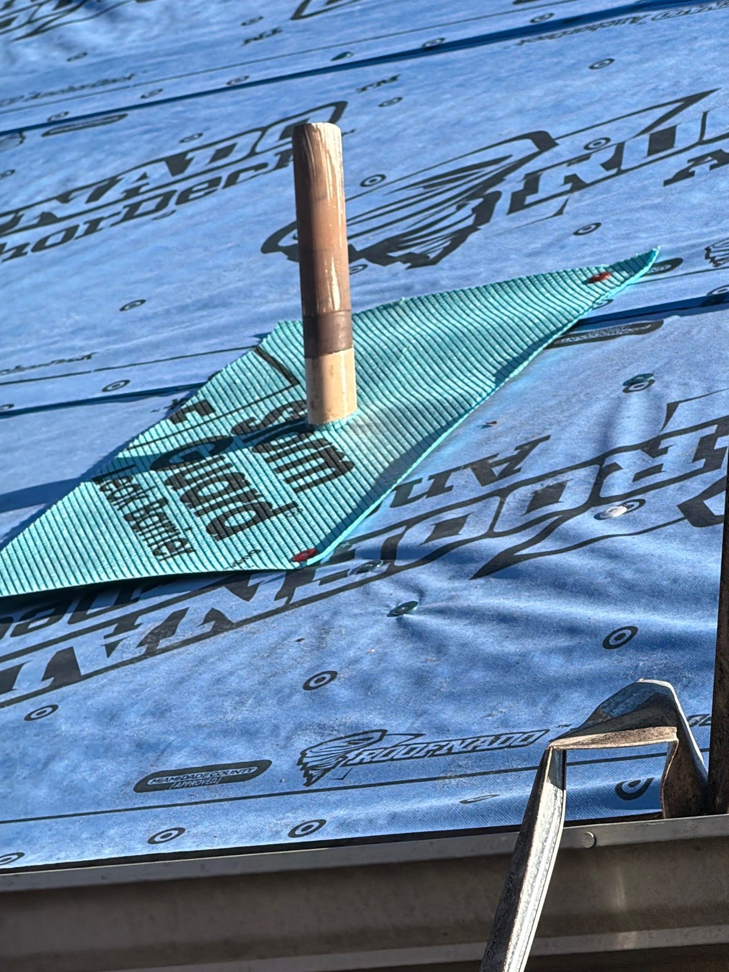 NOMI B. by Boss Hogg Roofing