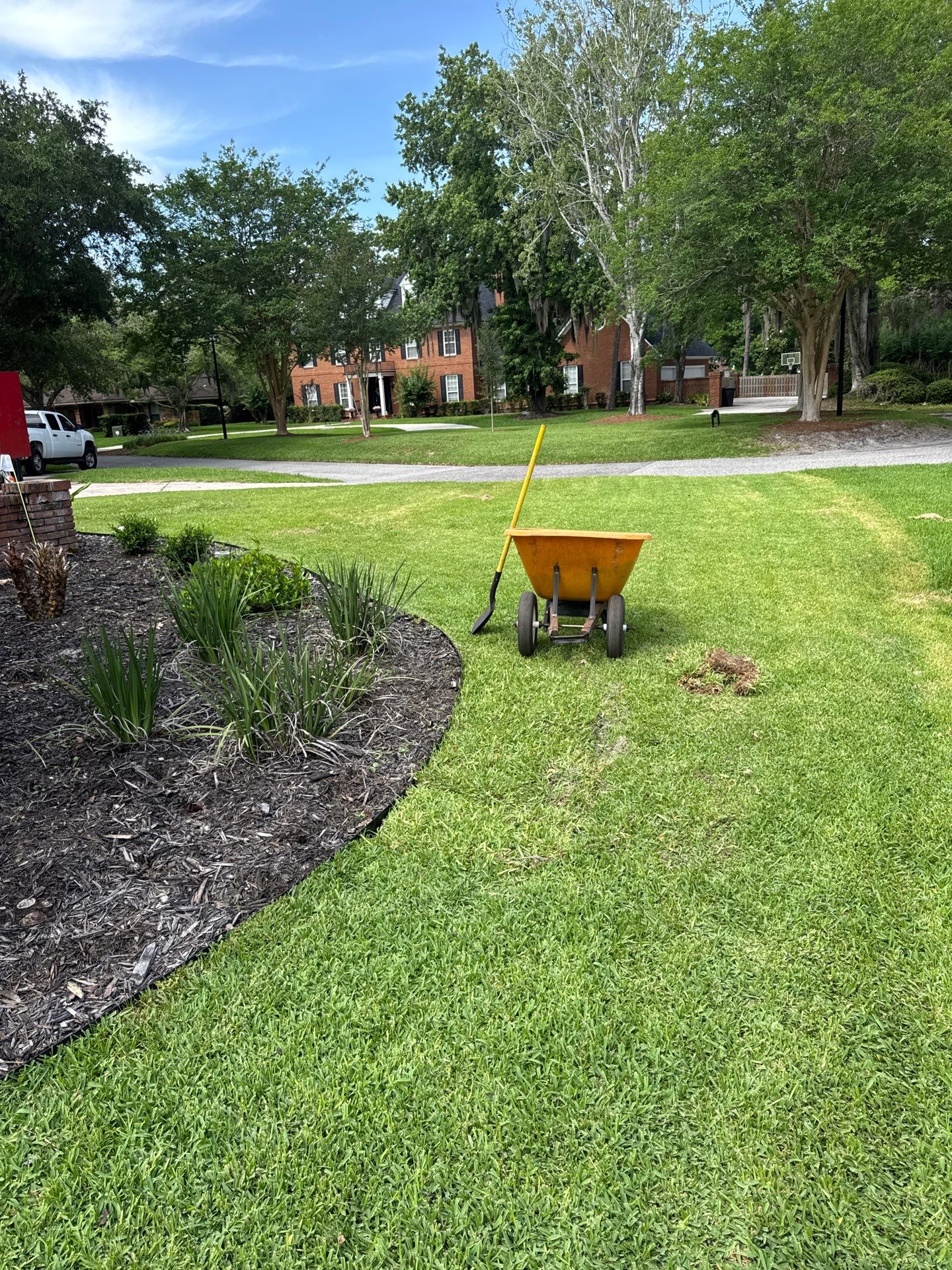 Deerwood Resident | Sod & Plant Install by ProGreen Services