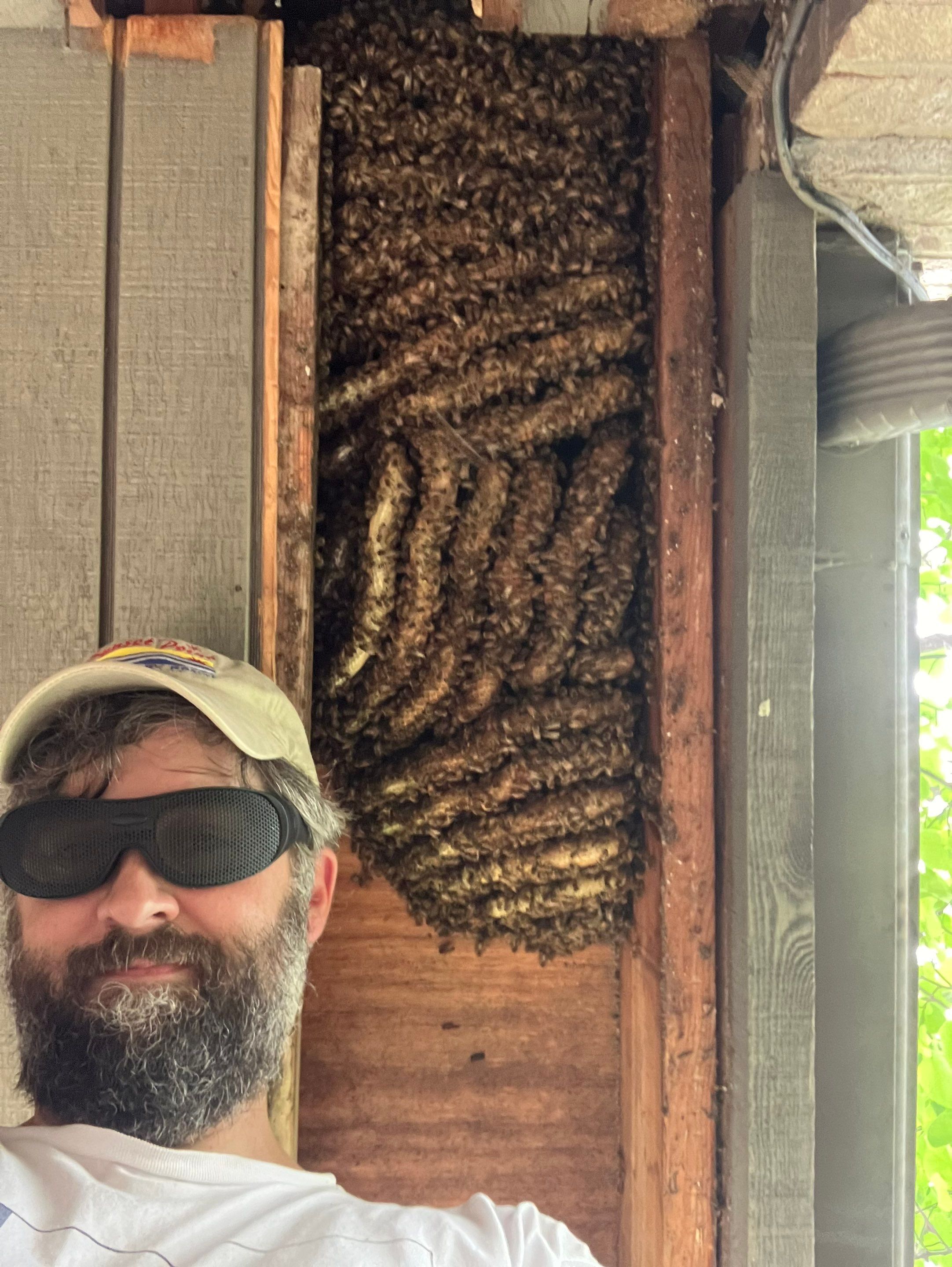 Love this house! by Rockwall Honey Bee Company
