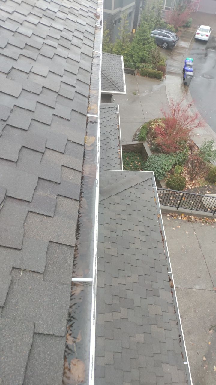 Gutter Cleaning by Paul Schopp