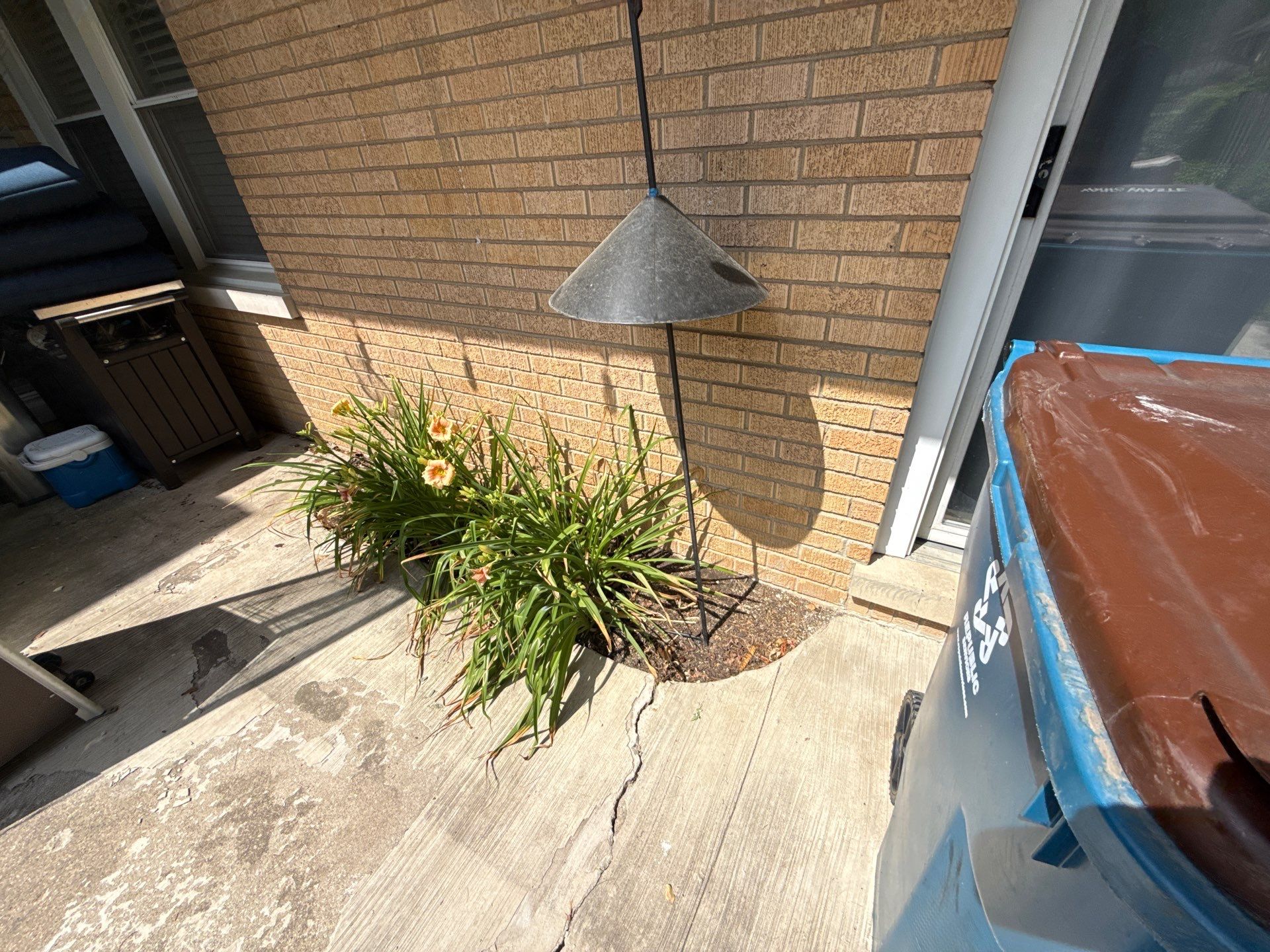 Cheris B. - Mount Prospect, IL by A&N 