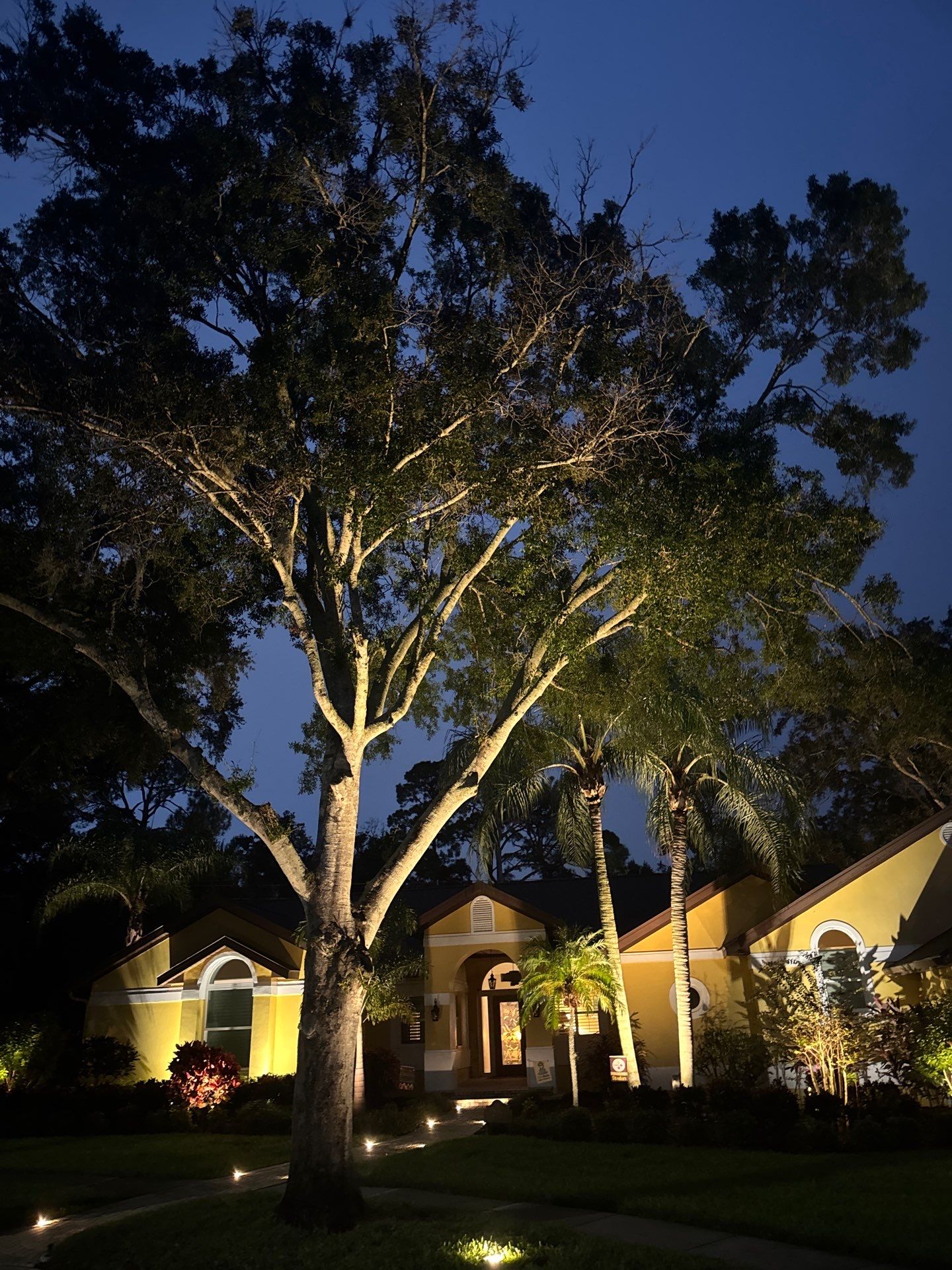 Landscape Lighting for Clearwater Home and Outdoor Living Space by Elegant Accents
