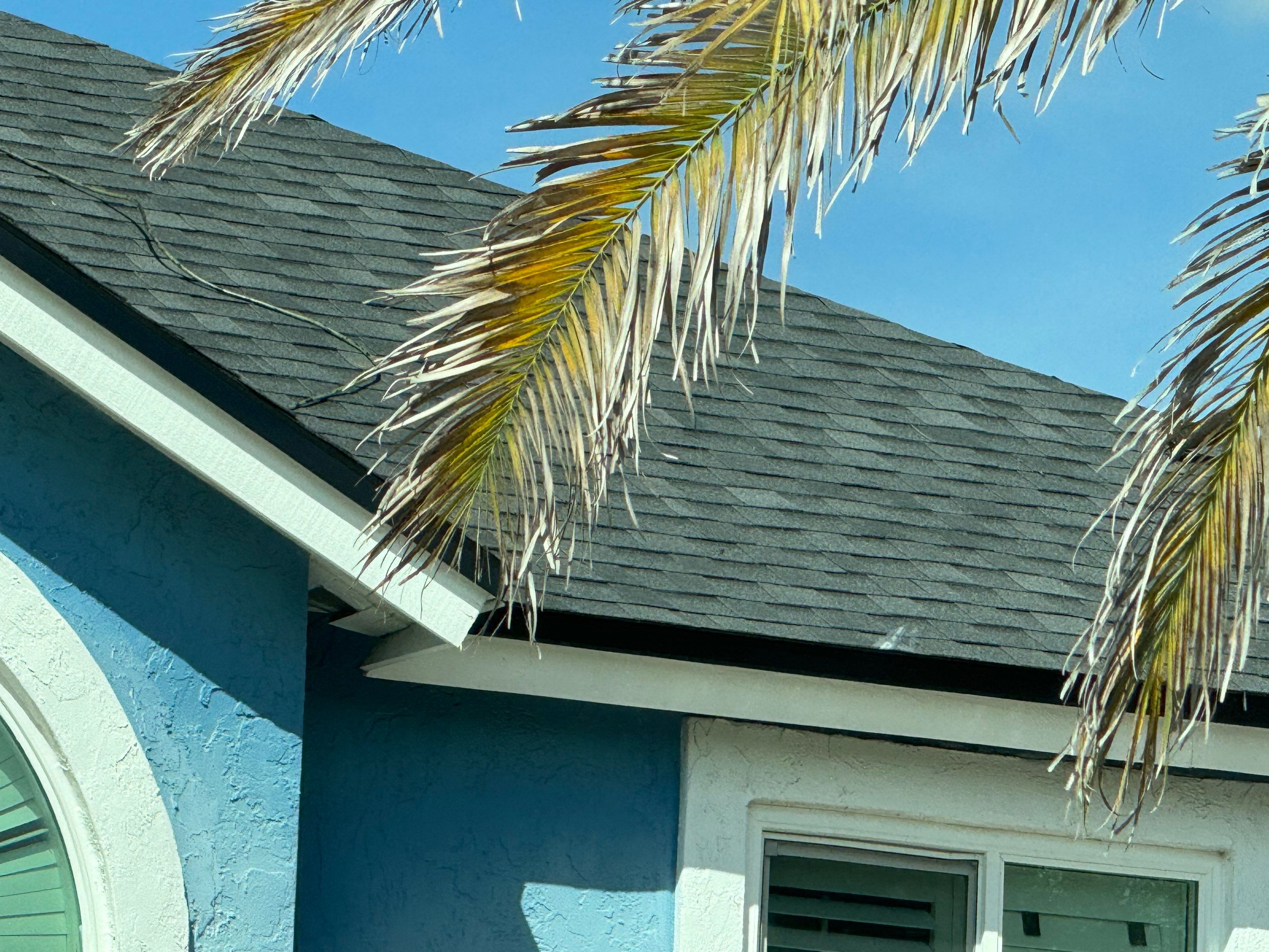 Shingle Reroof Replacement Orlando FL by Pinnacle Roofing Group