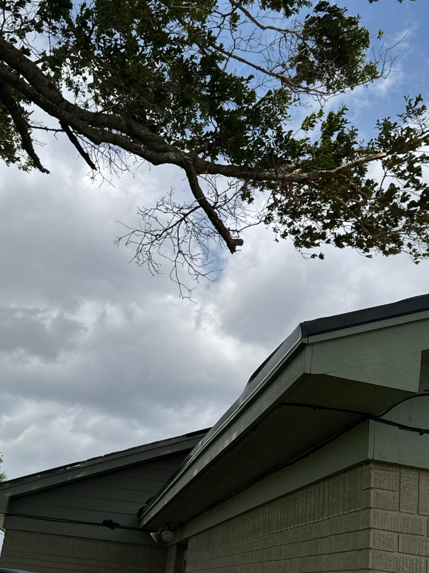 Roof Replacement louise by Roof Repair Company