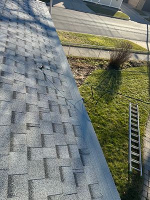 Gutter Protection for Berkeley Homes