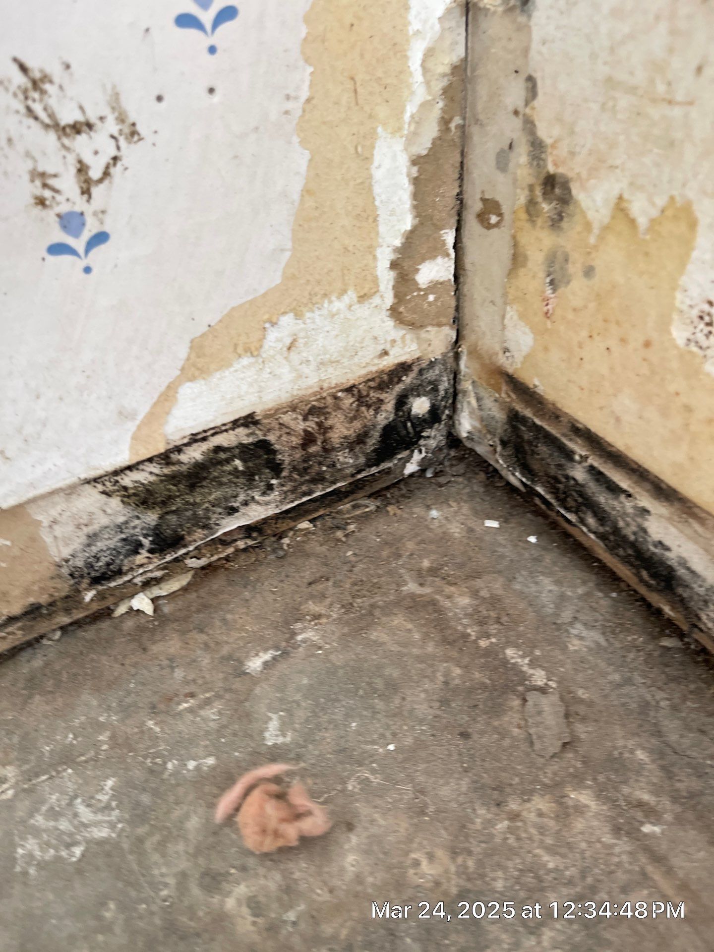 Project in Fresno  by 911 Hazmat Cleanup 