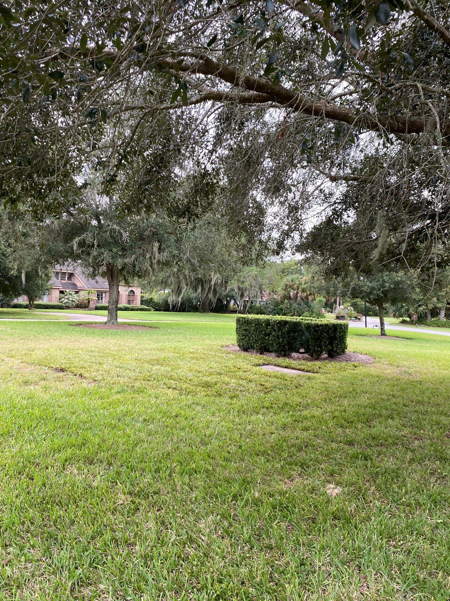 Deerwood Community | Island Landscape Replacement by ProGreen Services