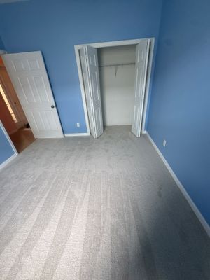 Carpet