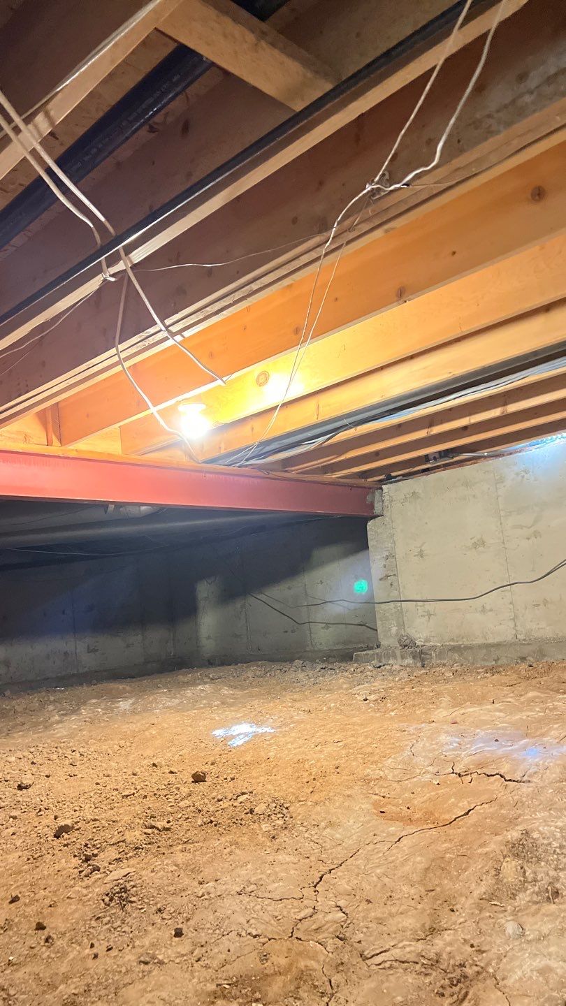 Mold Damage by Accountable Home Services