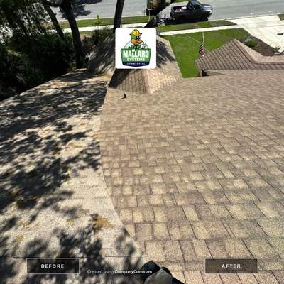 Shingle Roof Debris Removal and Cleaning
