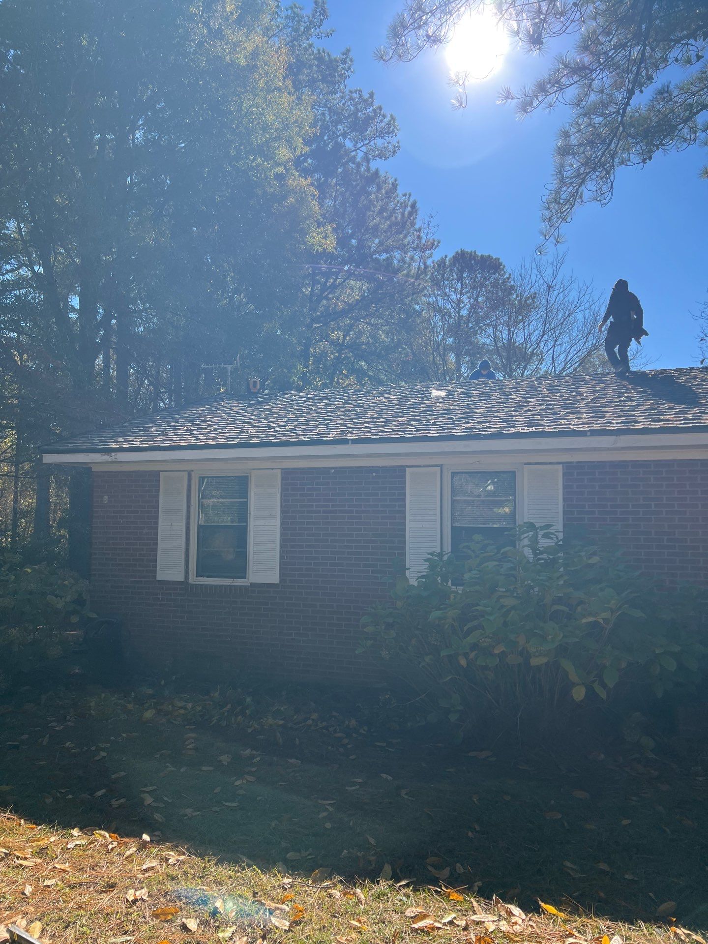 hedgepeth by Erie Home