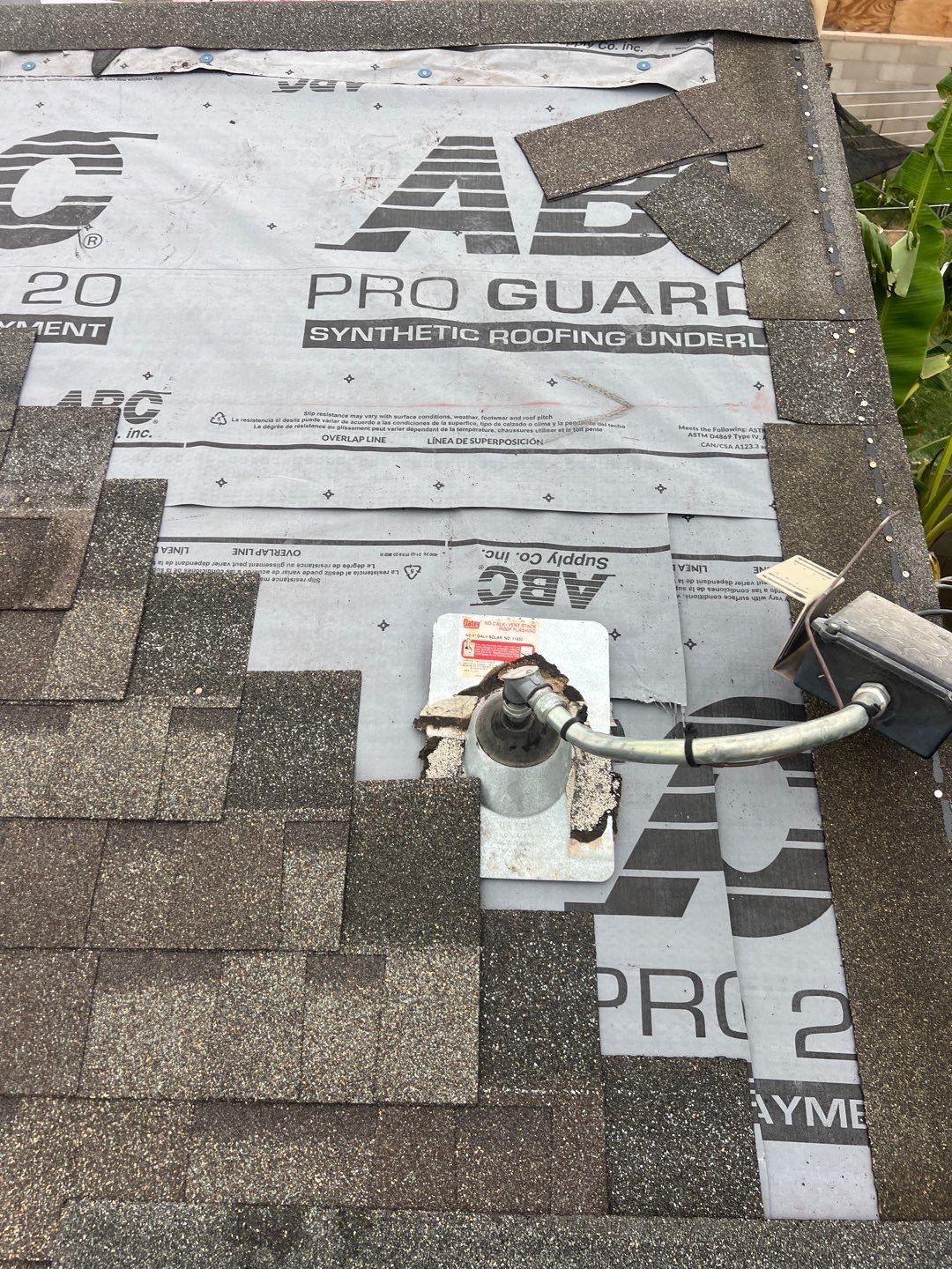 Birchwood Shingles by Reimagine Roofing