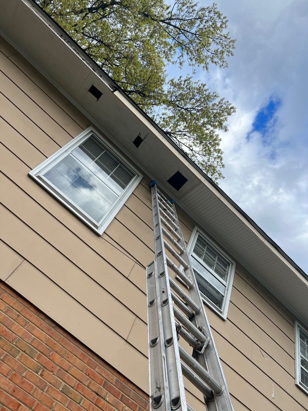 Arlington: Multi-Trade Exterior Remodel by RM Banning, Inc.