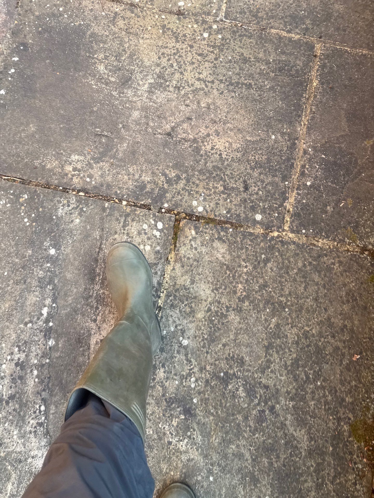 Patio Area Spring Clean using 18inch Whirlaway FSC by Ges Exterior Cleaning ltd