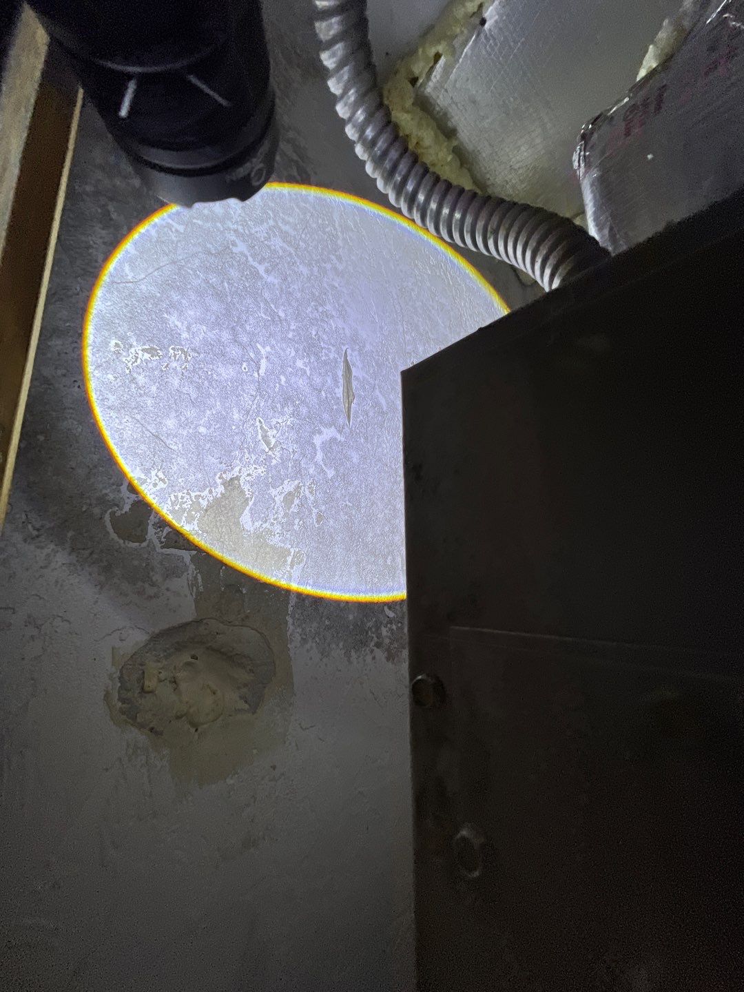 St Petersburg Mold Remediation by Ampm Restoration Services 