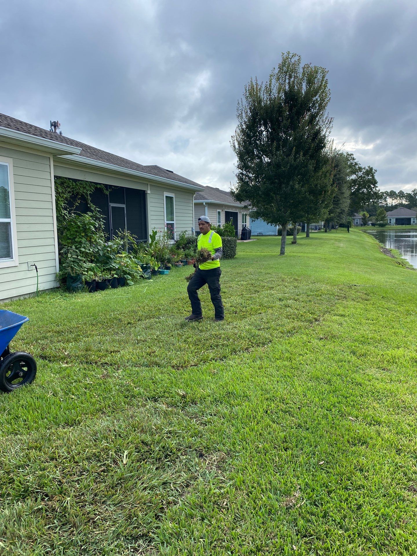 Small Sod Project | Residential by ProGreen Services