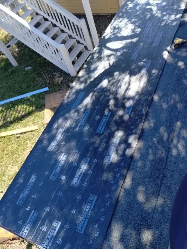 Olive you a Lot! by Bayfront Roofing and Construction