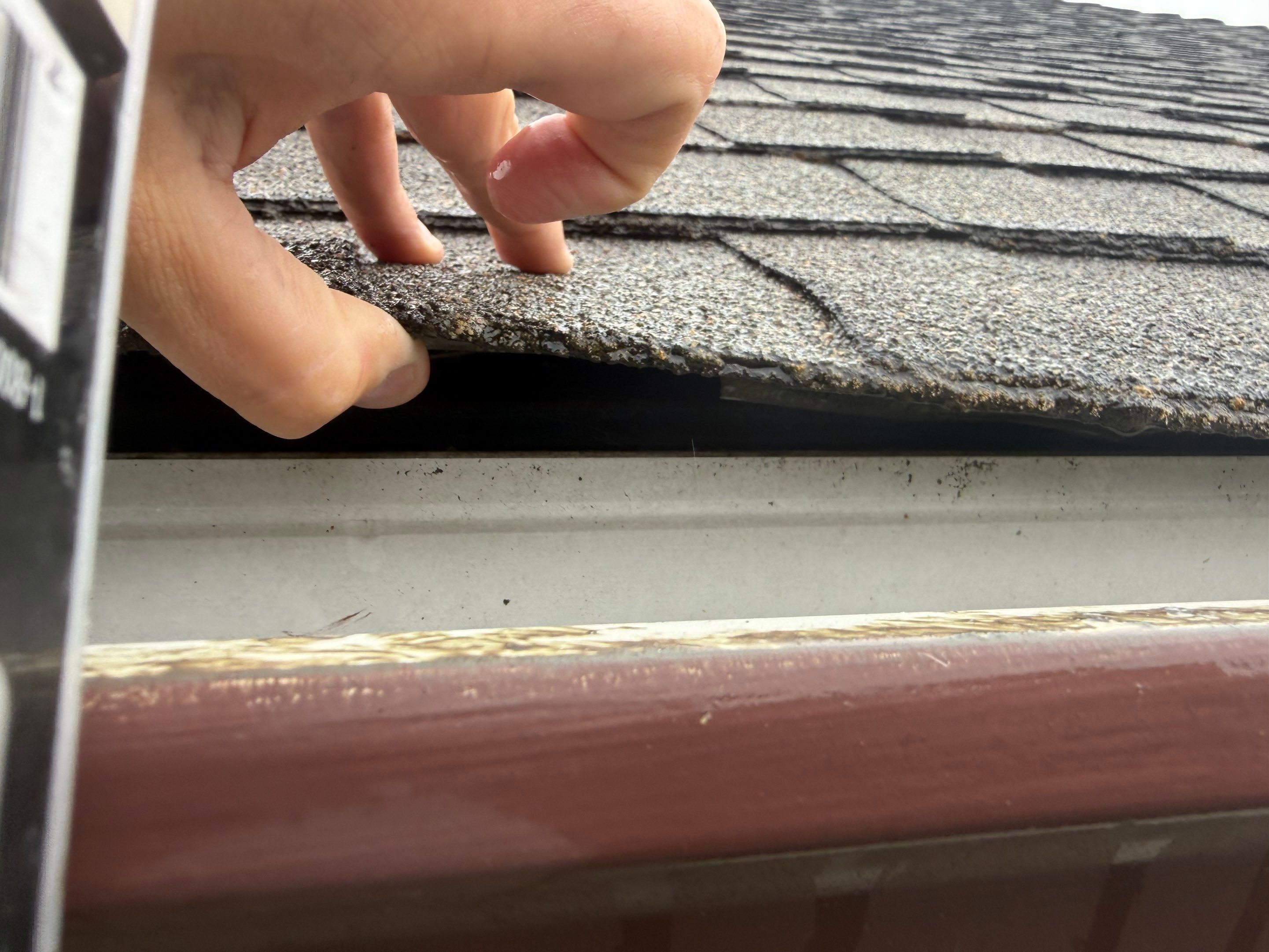 Roof Health Report • Eugene, OR by BEST Roofing & Waterproofing