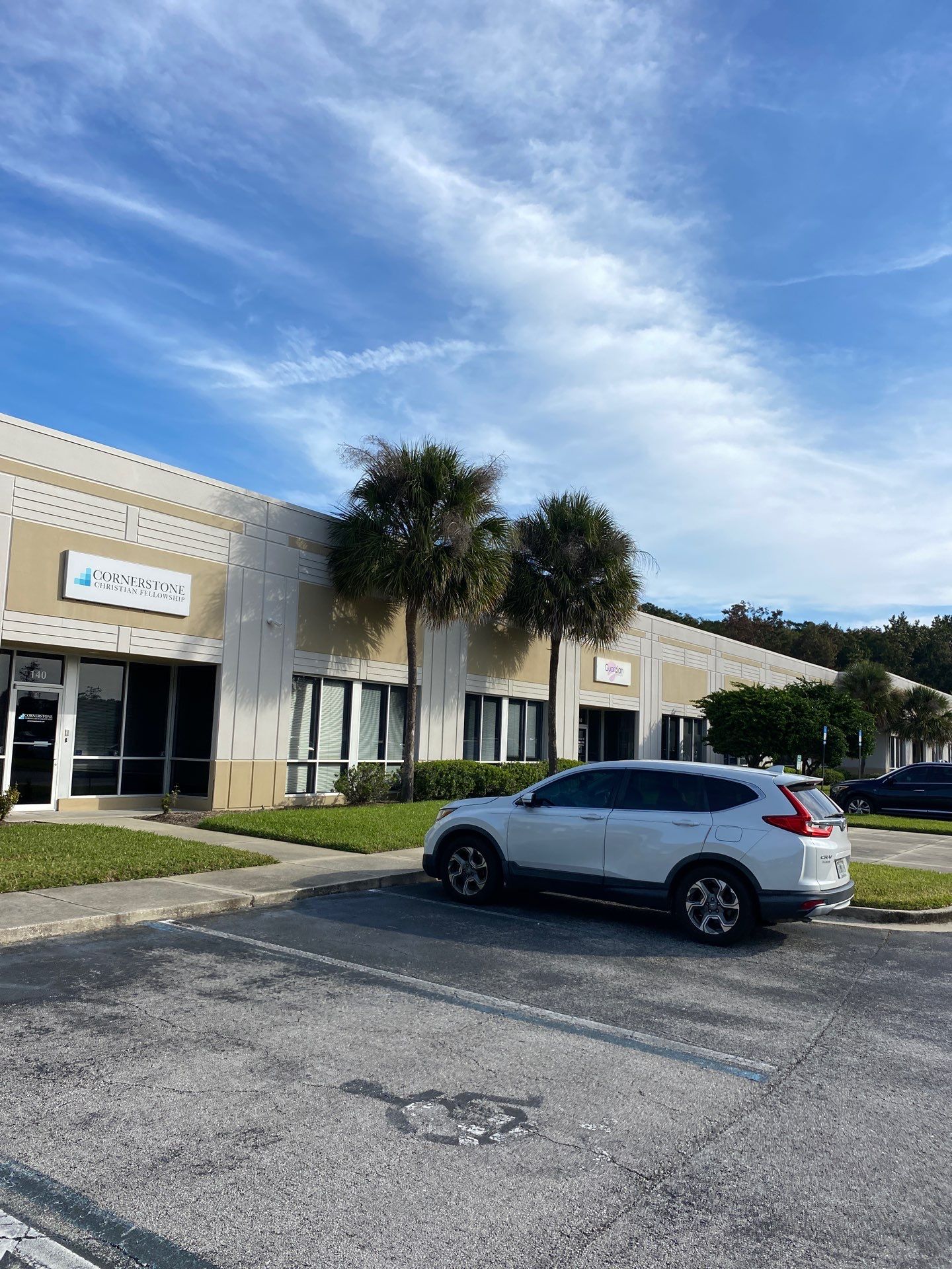 Tree & Palm Trimming | Commercial Property by ProGreen Services