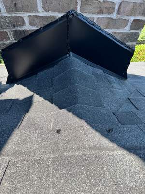 Turtle Shell gutter protection installation in Naperville, IL 60563, photograph 42