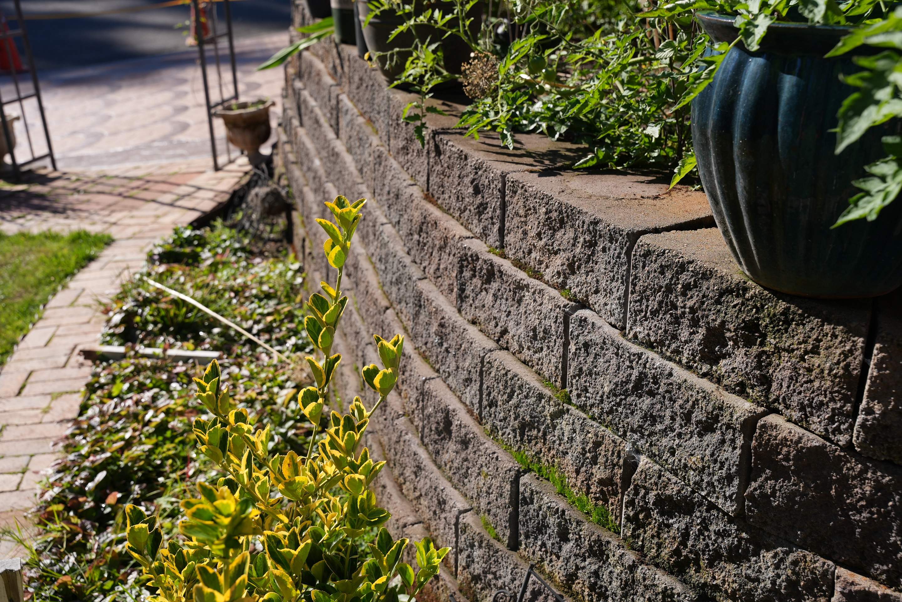 Mehta | Tiled Driveway with Sealer & Retaining Wall  by Jireh Asphalt & Concrete Inc 