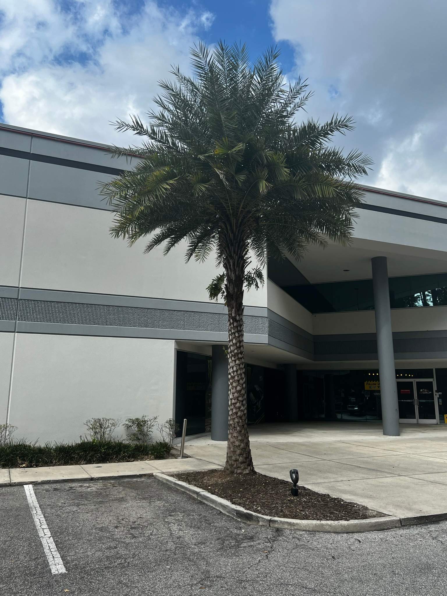 Tree Trimming | Autobahn Raceway by ProGreen Services
